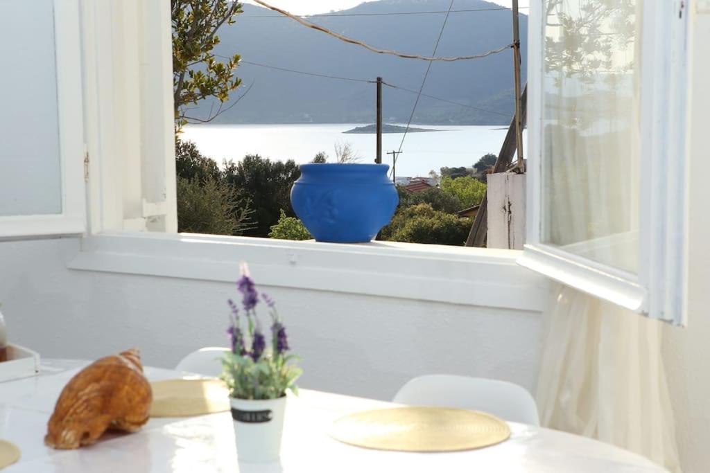 White Villa in Olive trees and Seaview to Panagia view 3