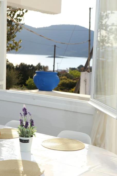 White Villa in Olive trees and Seaview to Panagia view 5