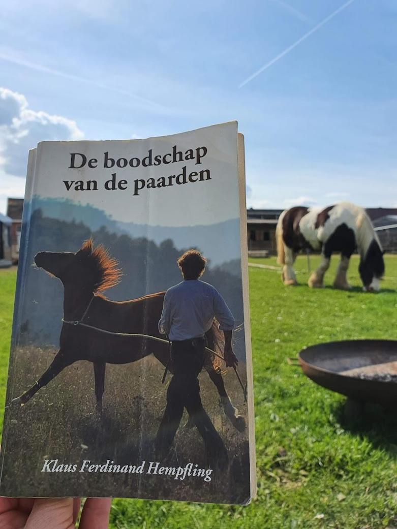 Houten huisje tussen paarden