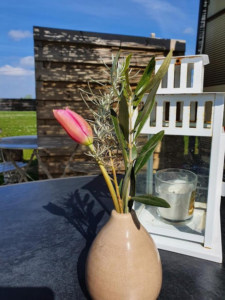 Houten huisje tussen paarden