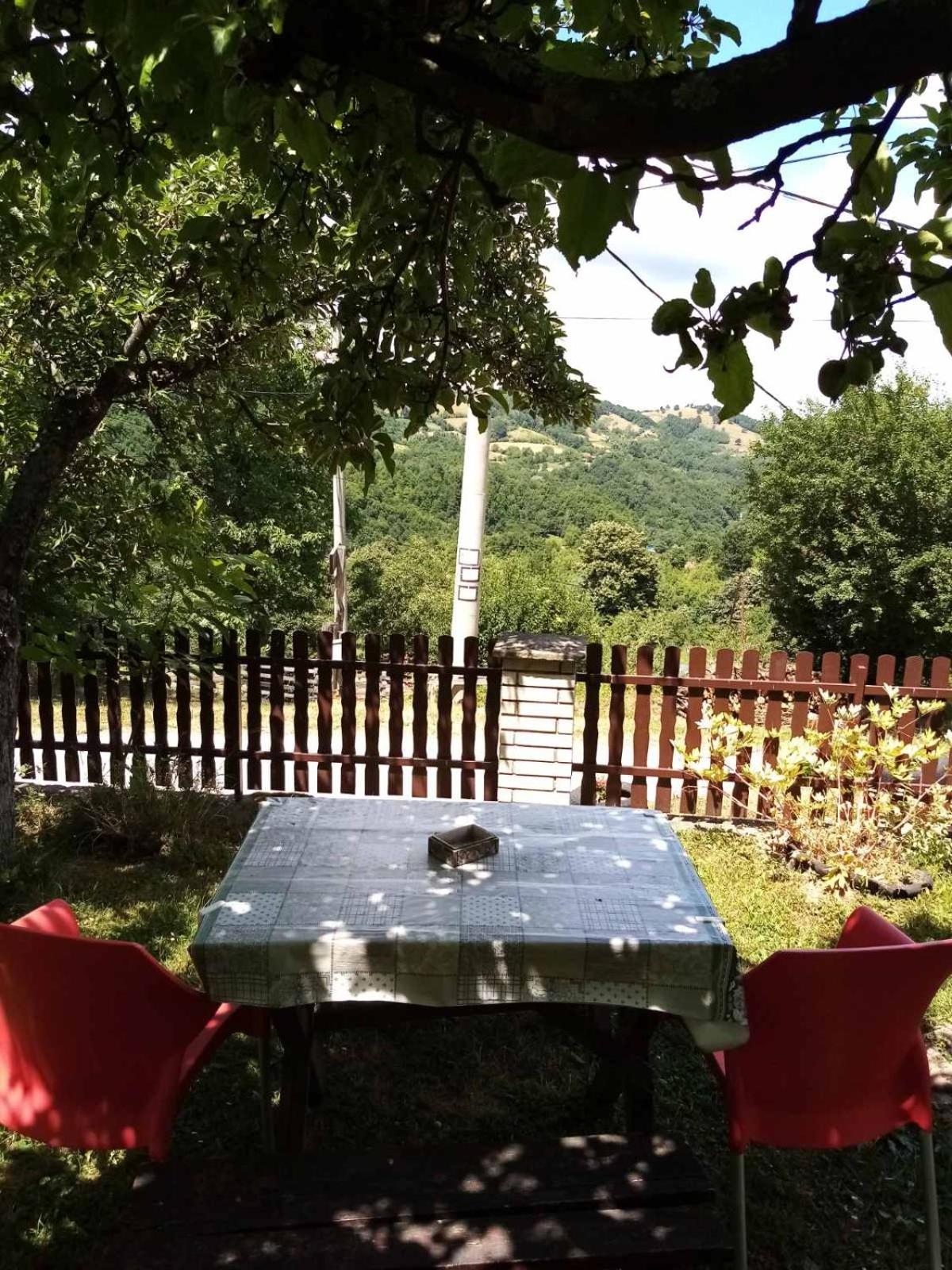 Photo 21