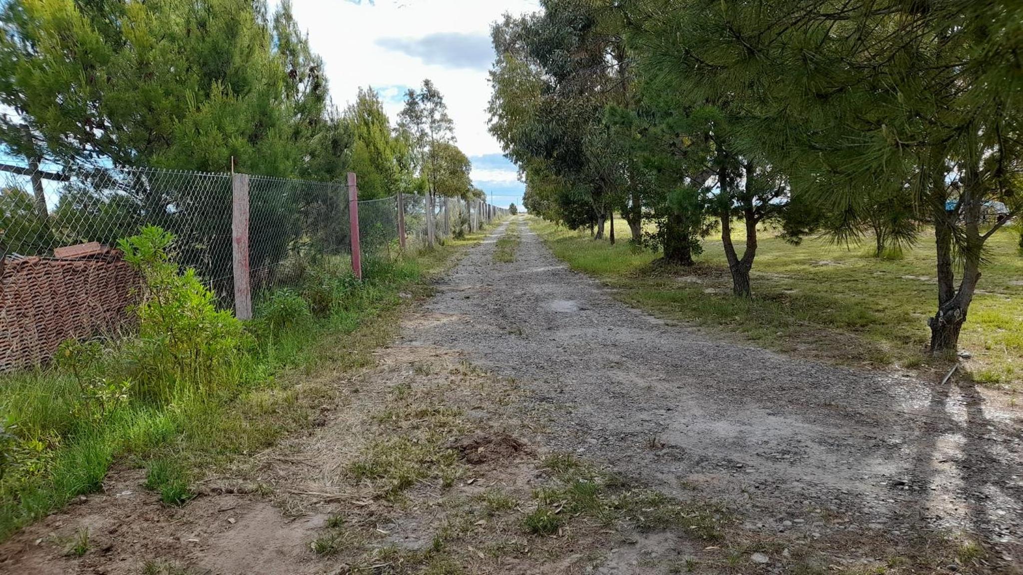Cabaña Para Lelo