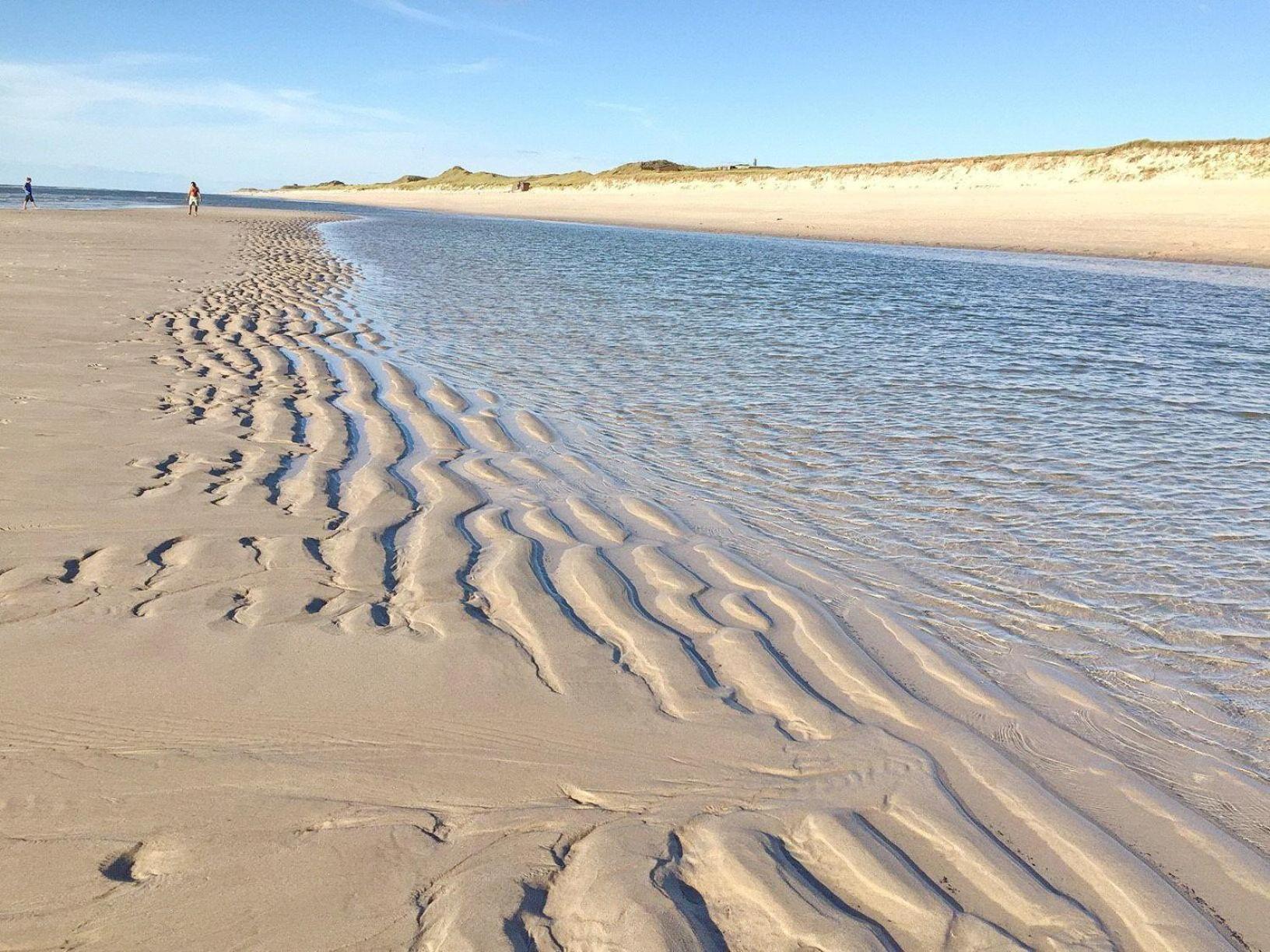 Strandhafer
