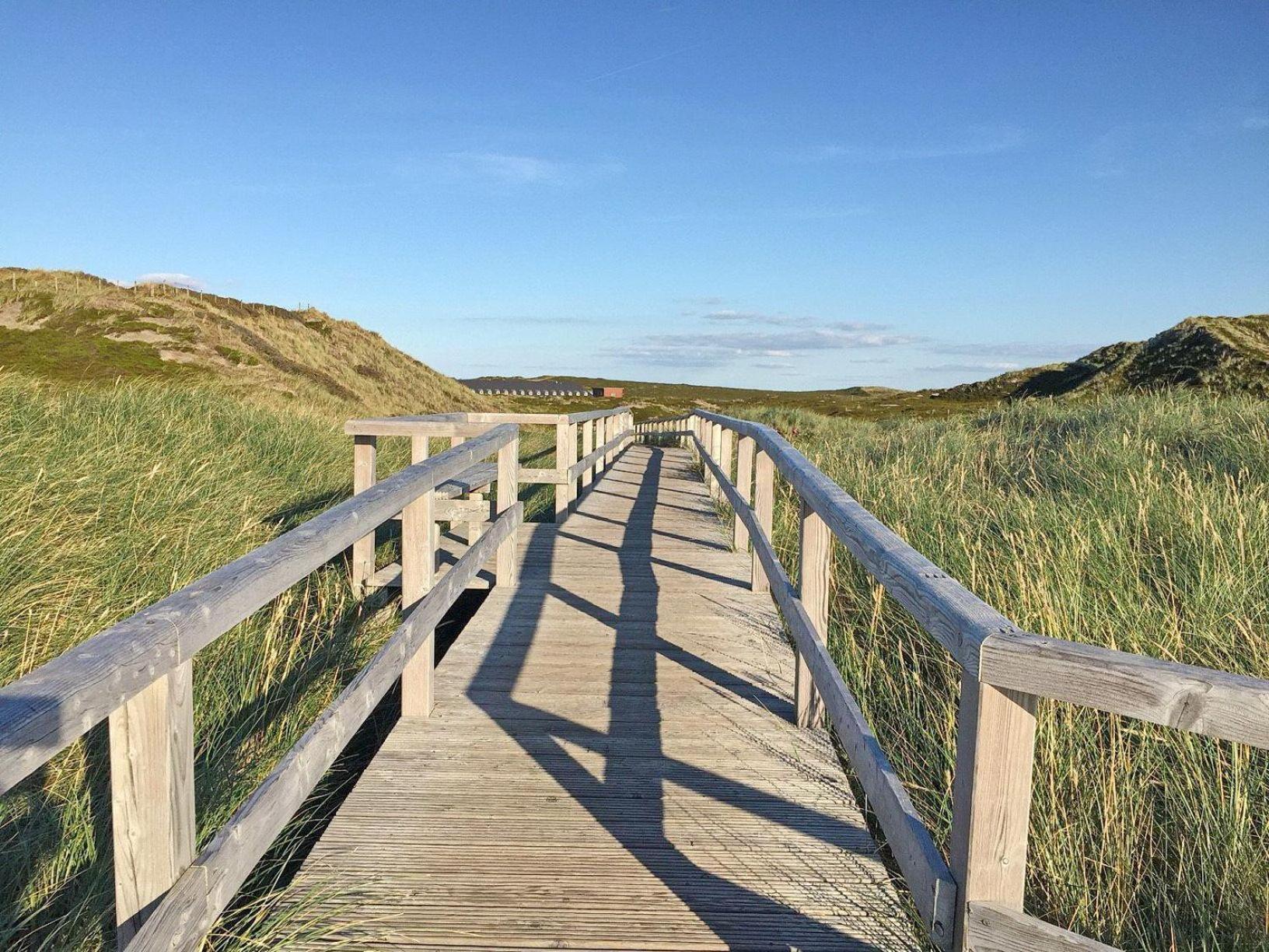 Strandhafer