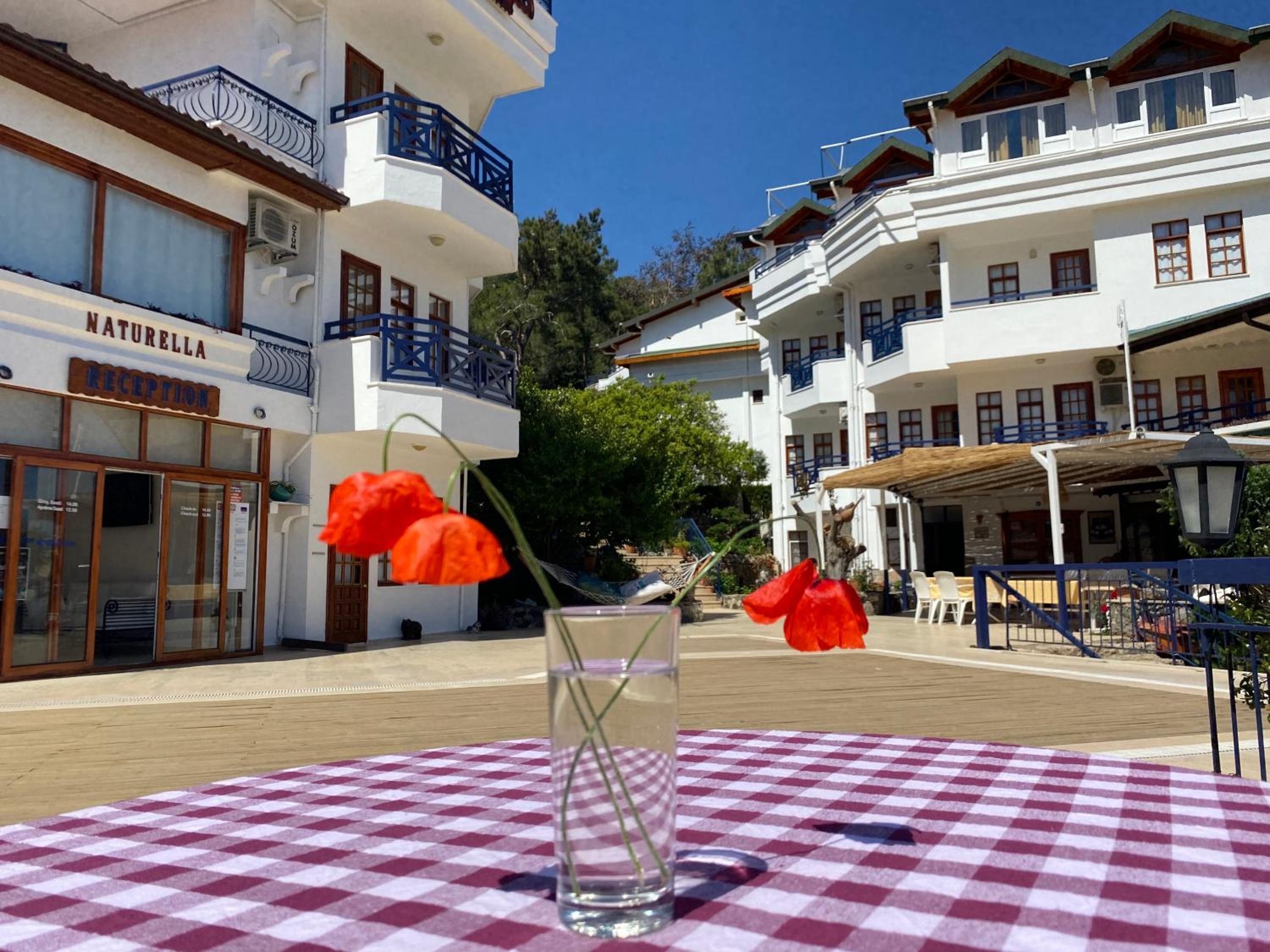 NATURELLA APART HOTEL - Image 191