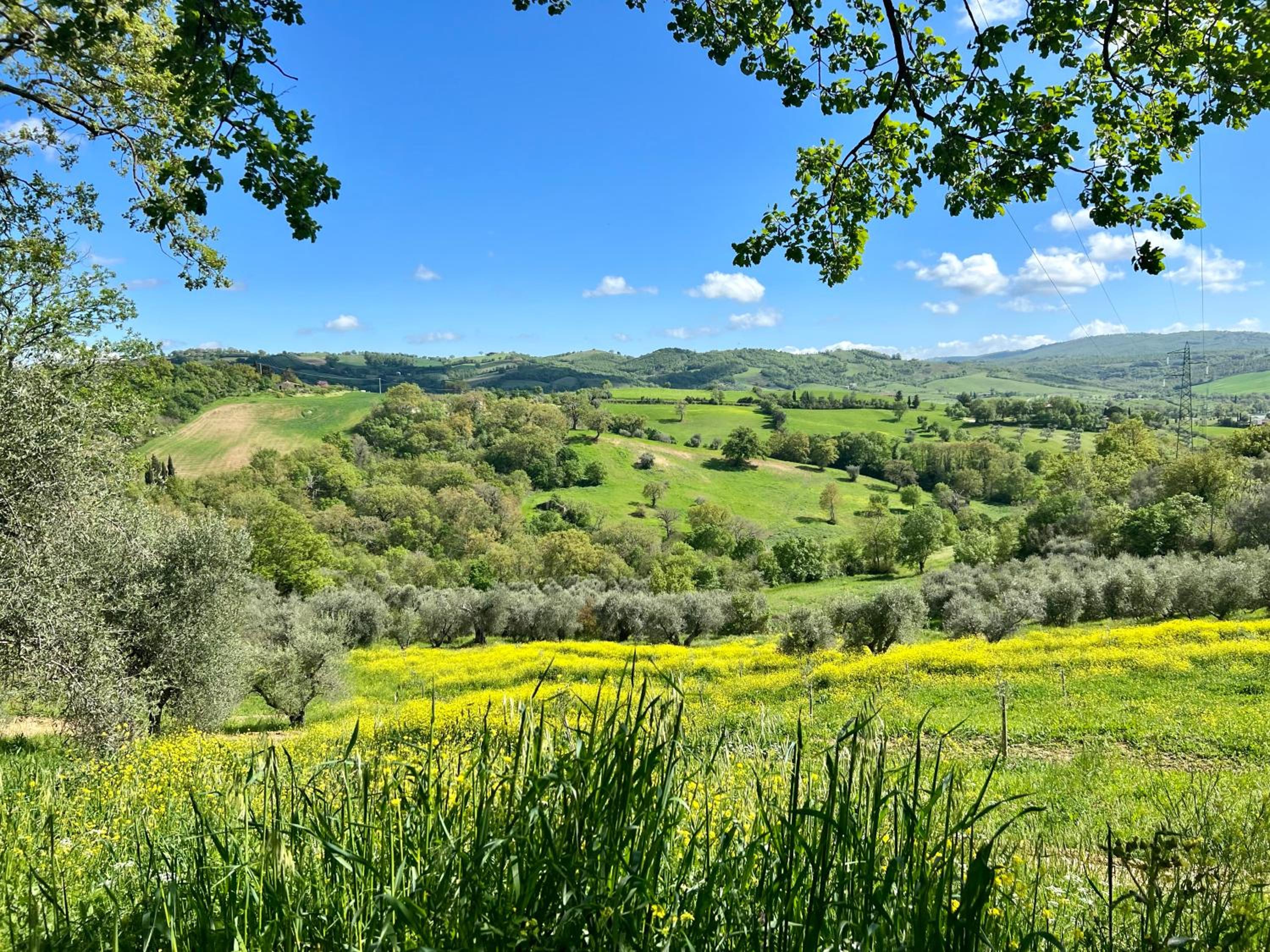 Casale Terre Rosse view 5