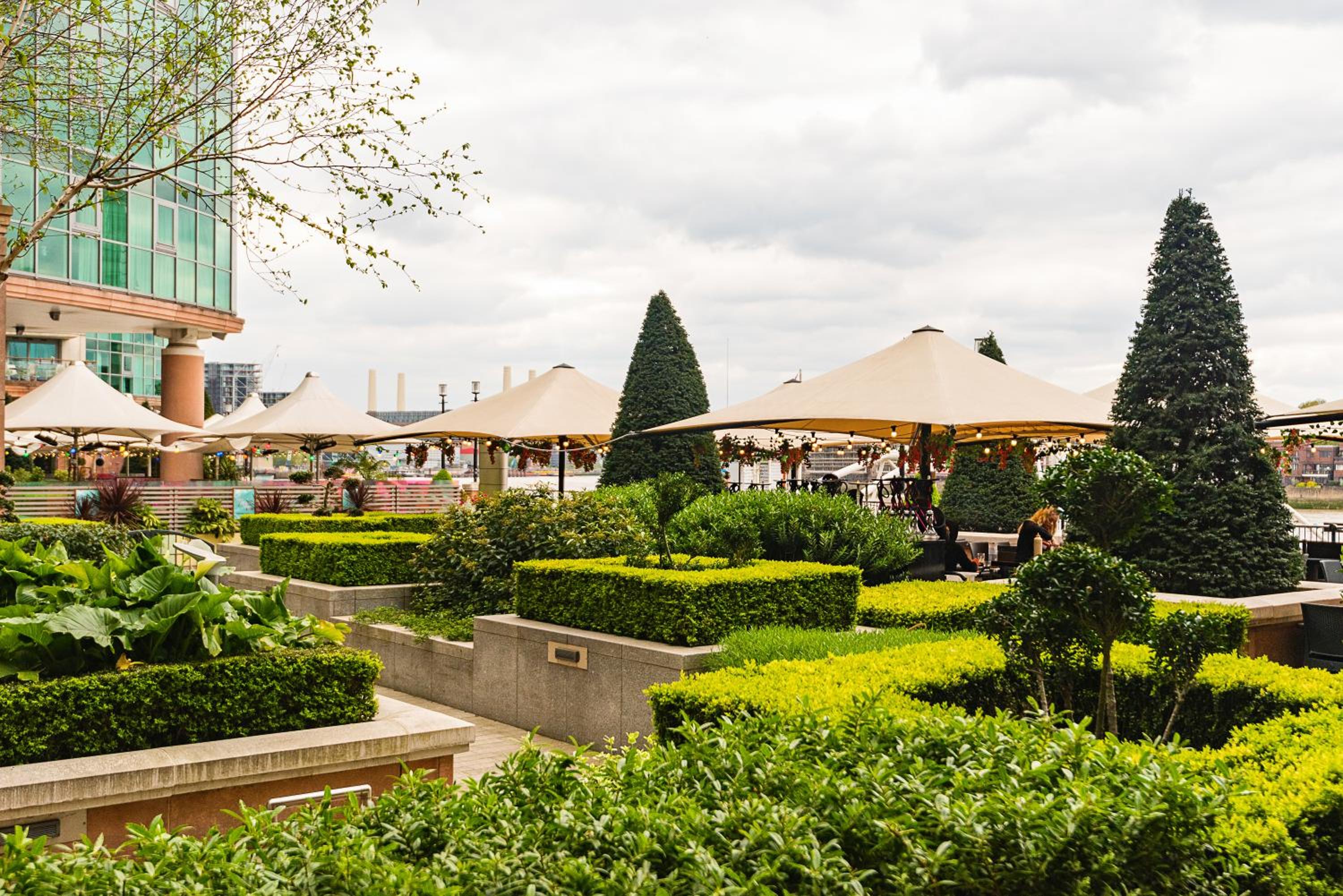 garden