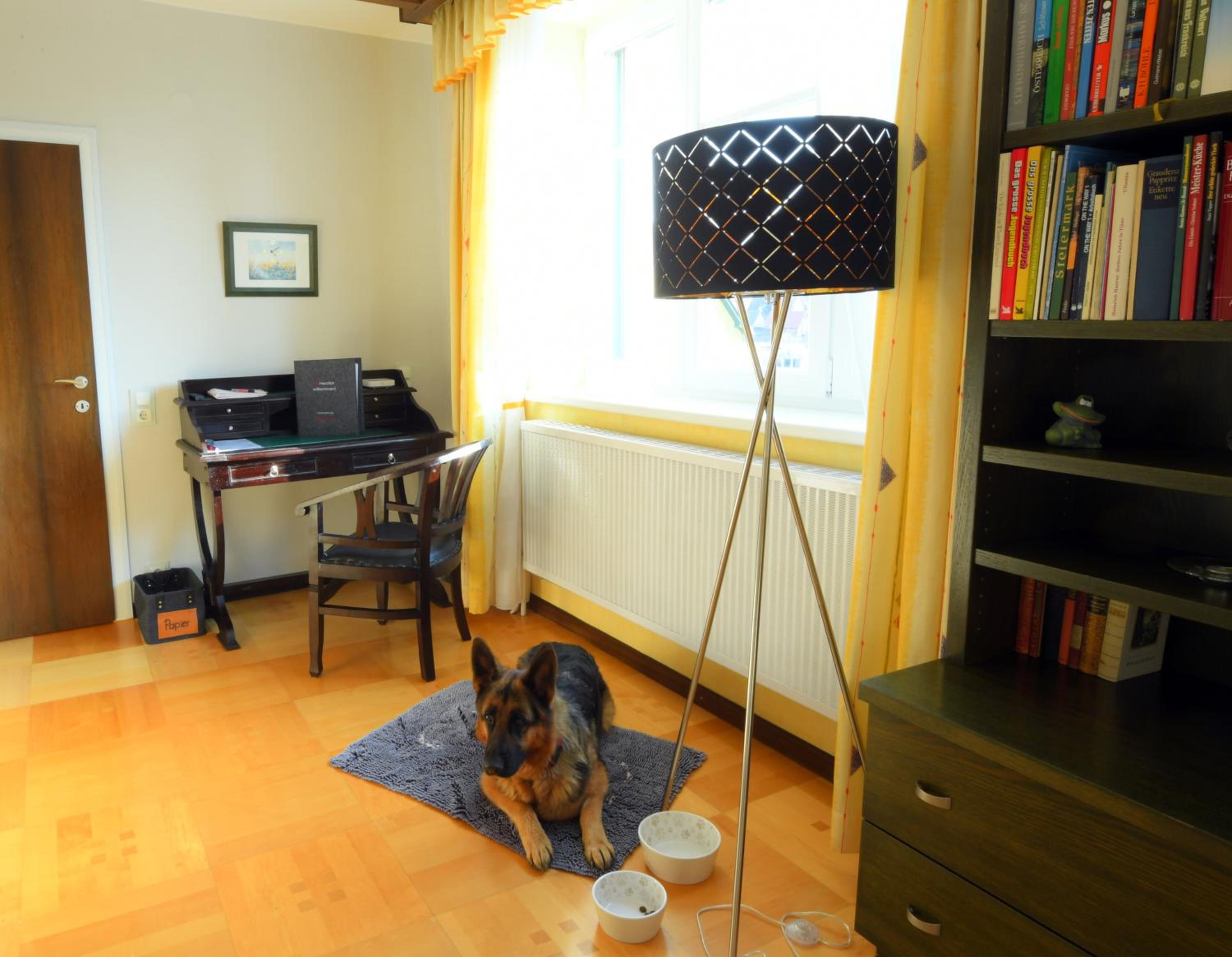 Photo 48