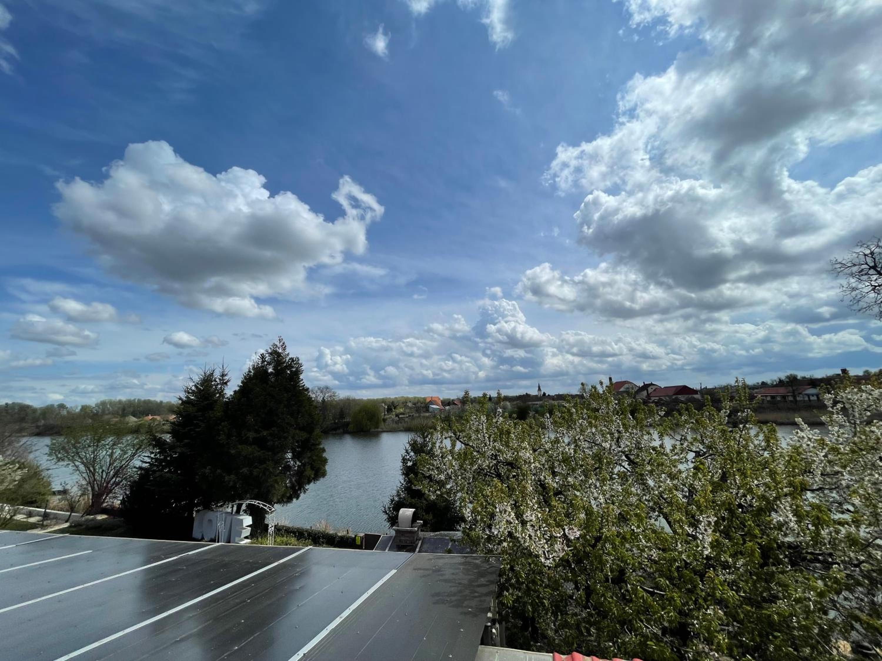 Photo 44
