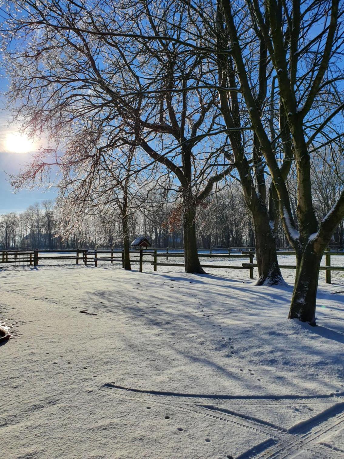 Ferienhof-Stoertebeker view 2