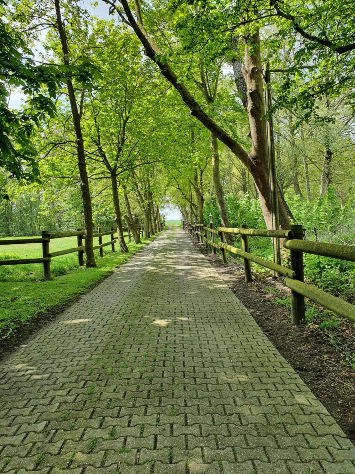 Ferienhof-Stoertebeker view 4