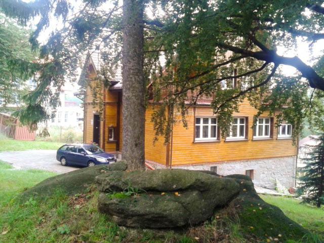 Photo 82