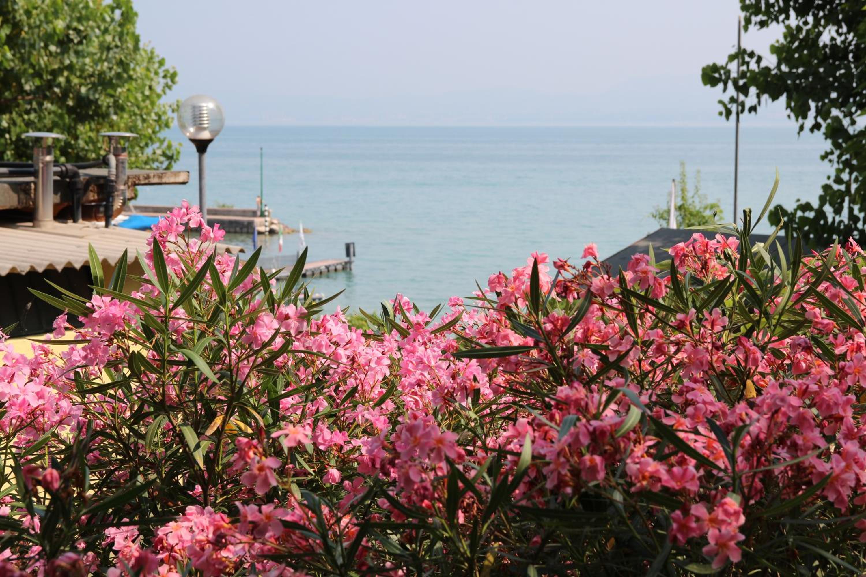 San Benedetto Camping Relais