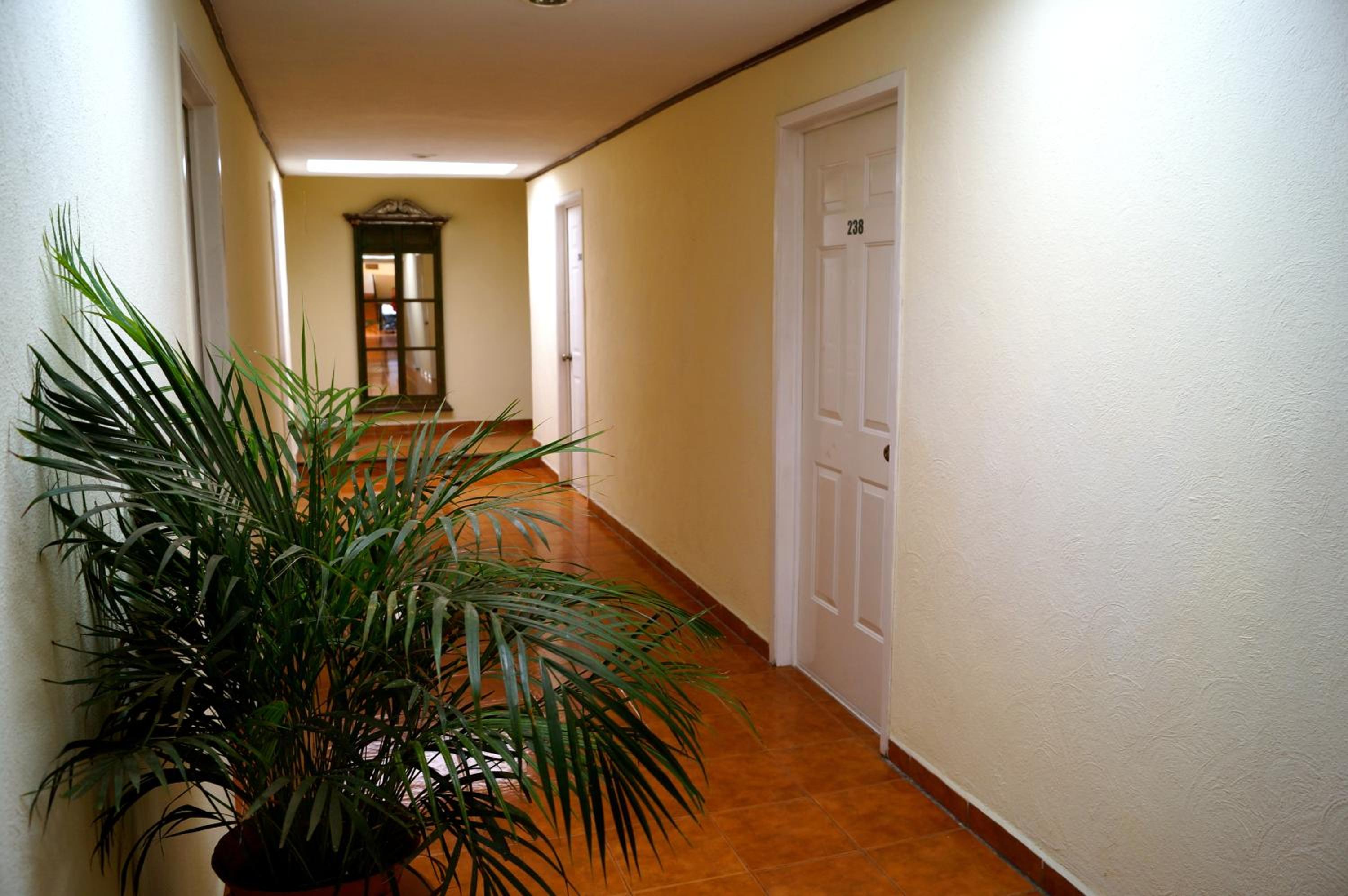 Hotel Suites Villa del Sol - Property Image 8
