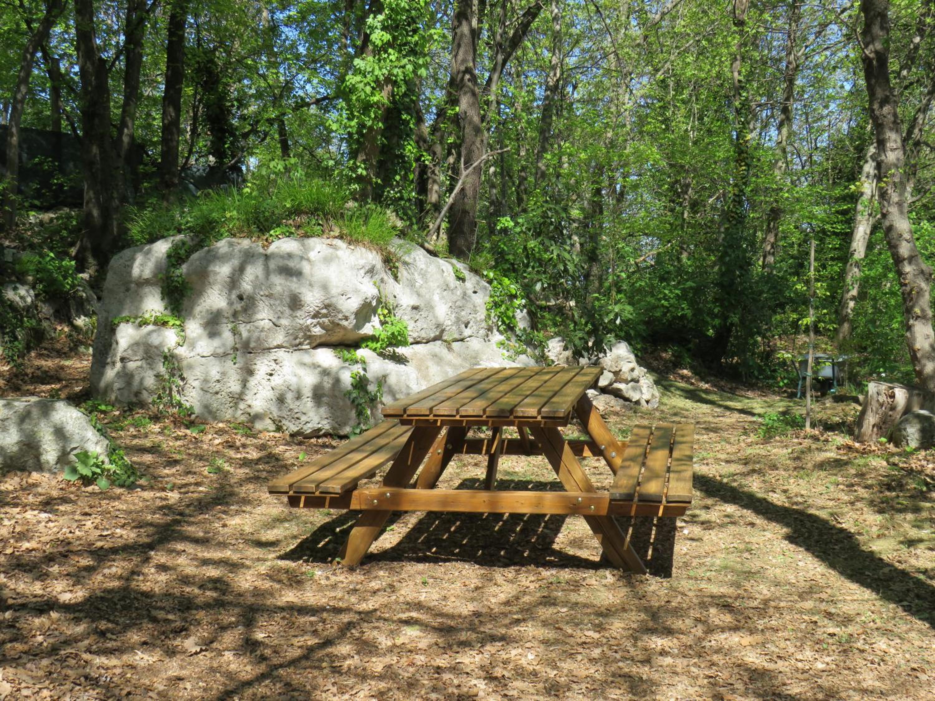 Photo 31