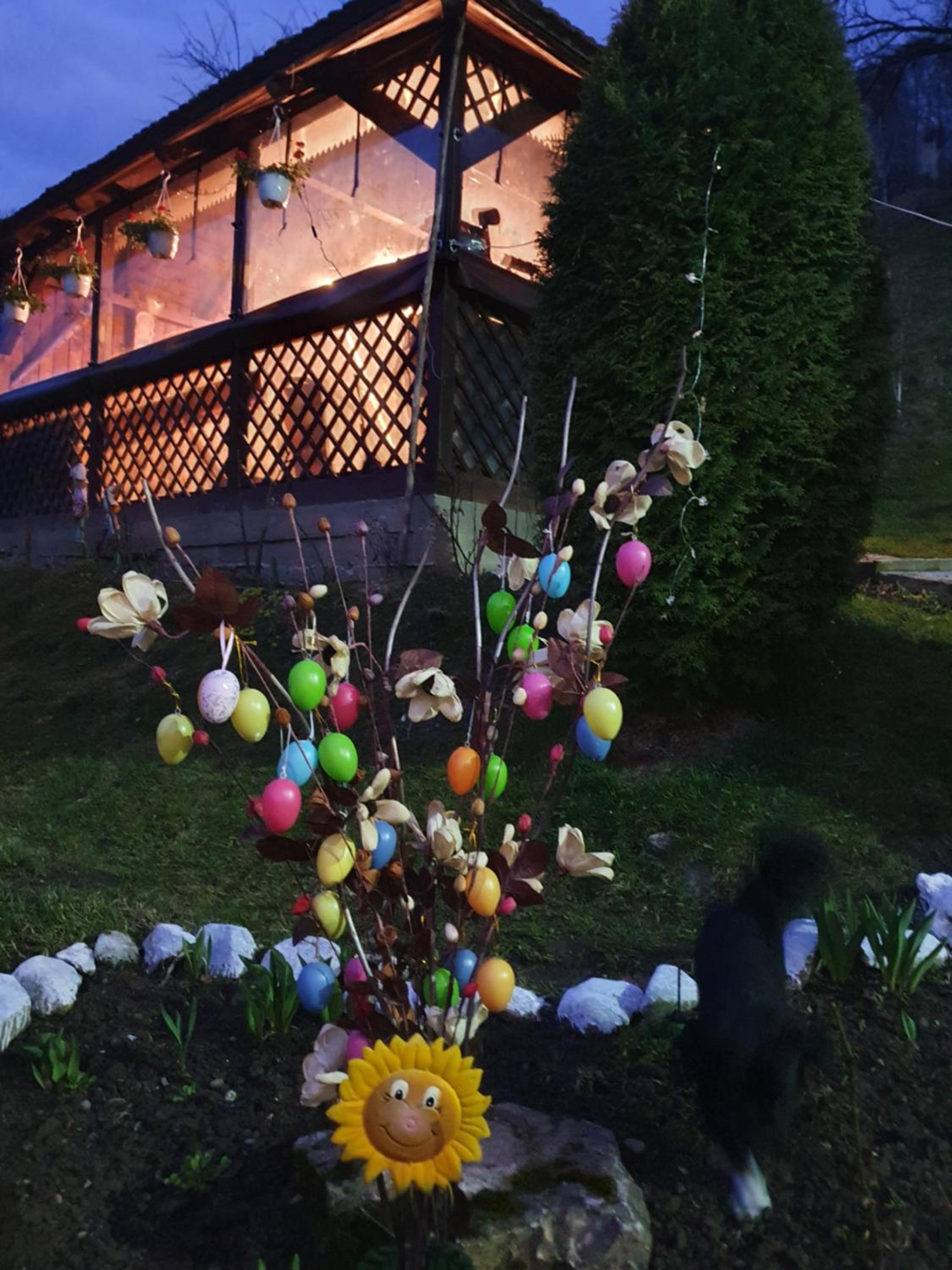 Photo 23