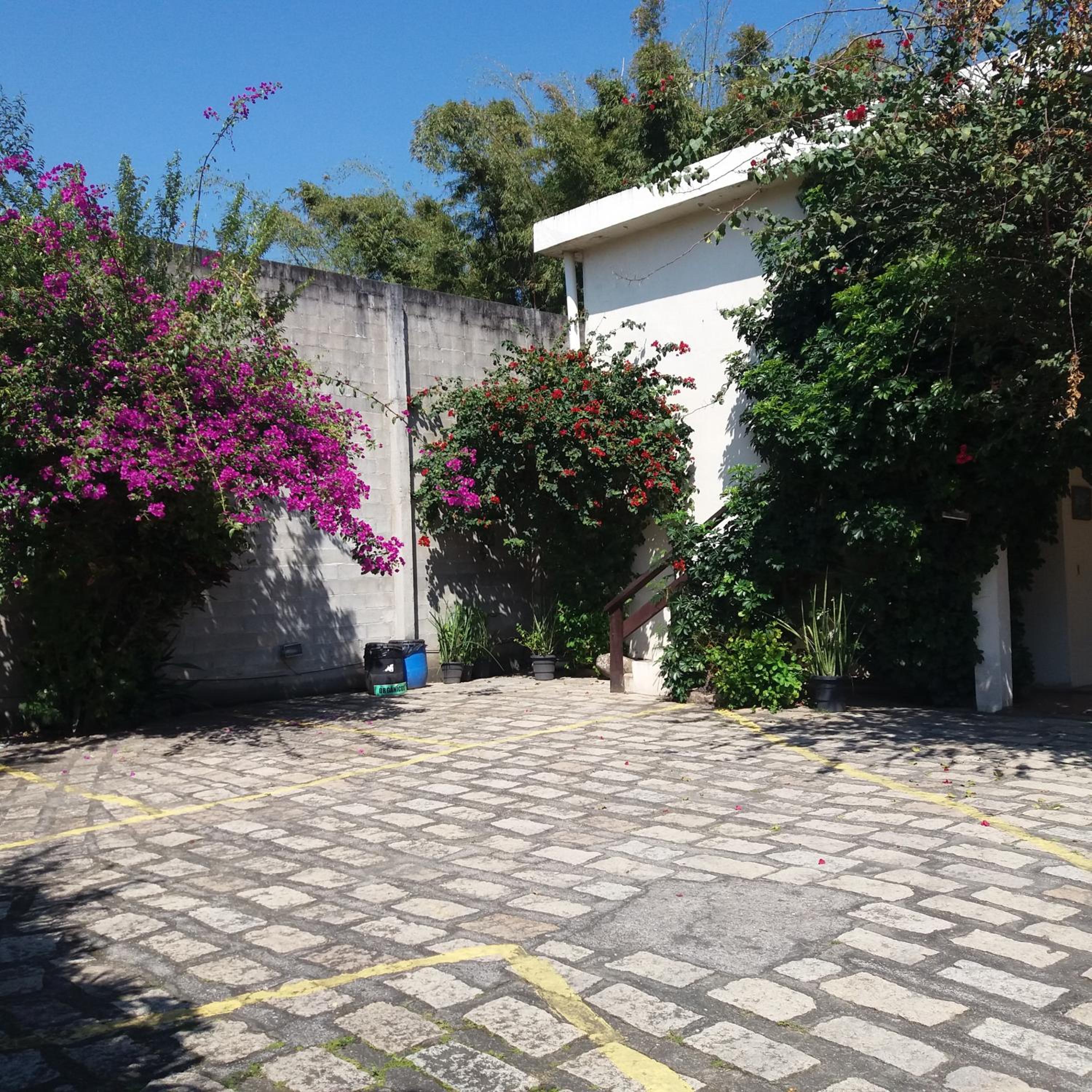 Photo 32