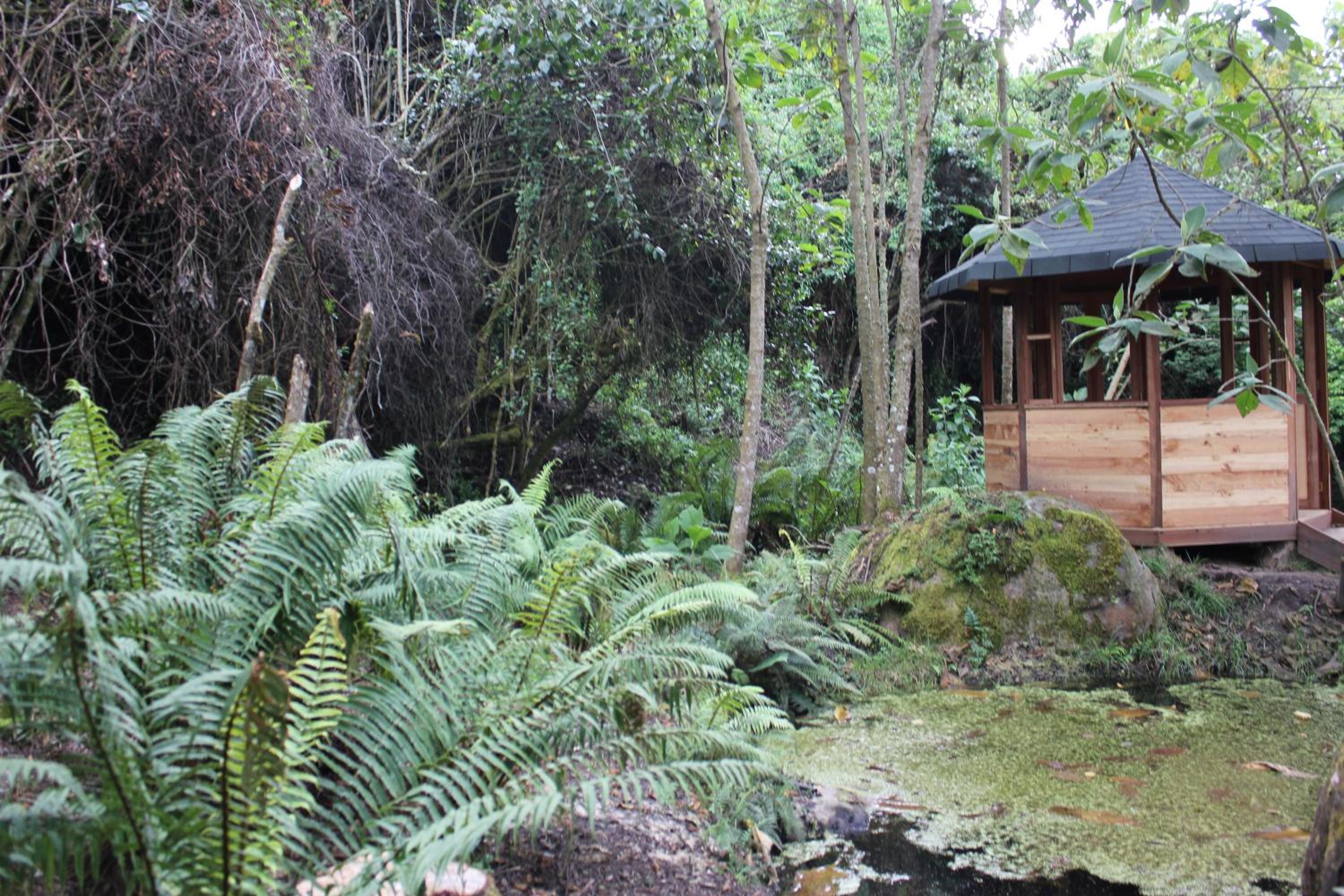 Hotel Mi Villa