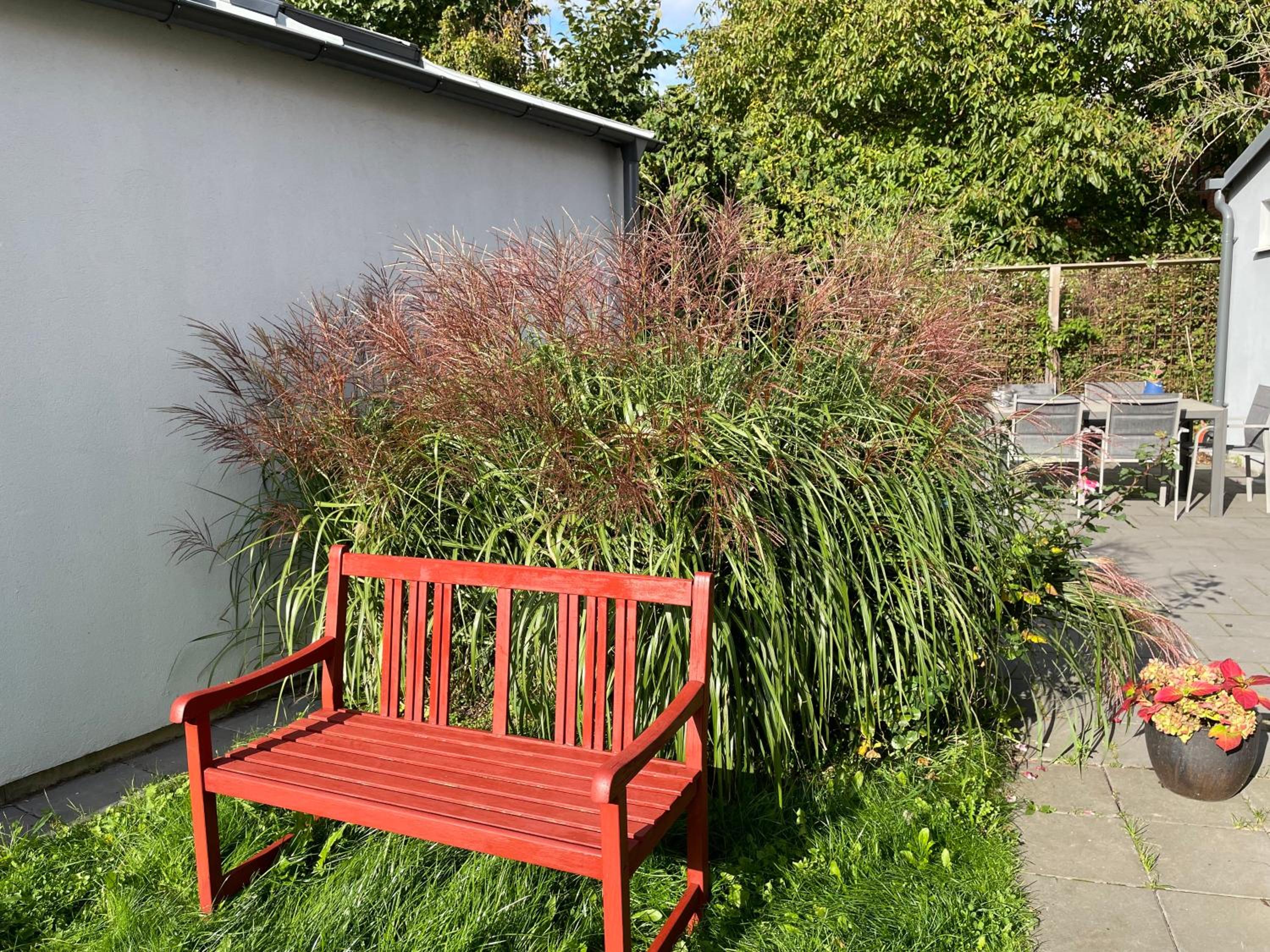 The Garden House view 5