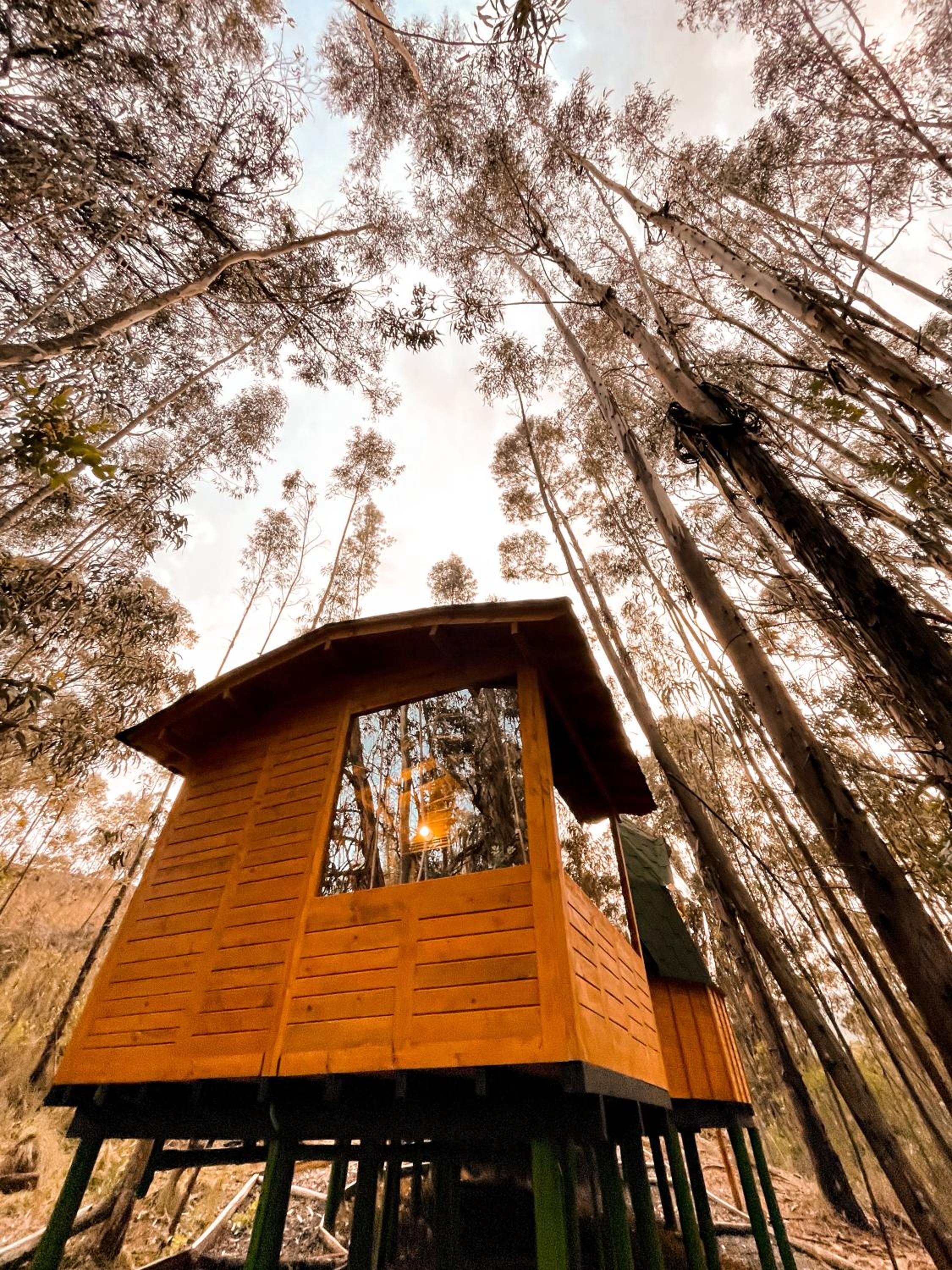 Hotel Domos Sup3r Lopez