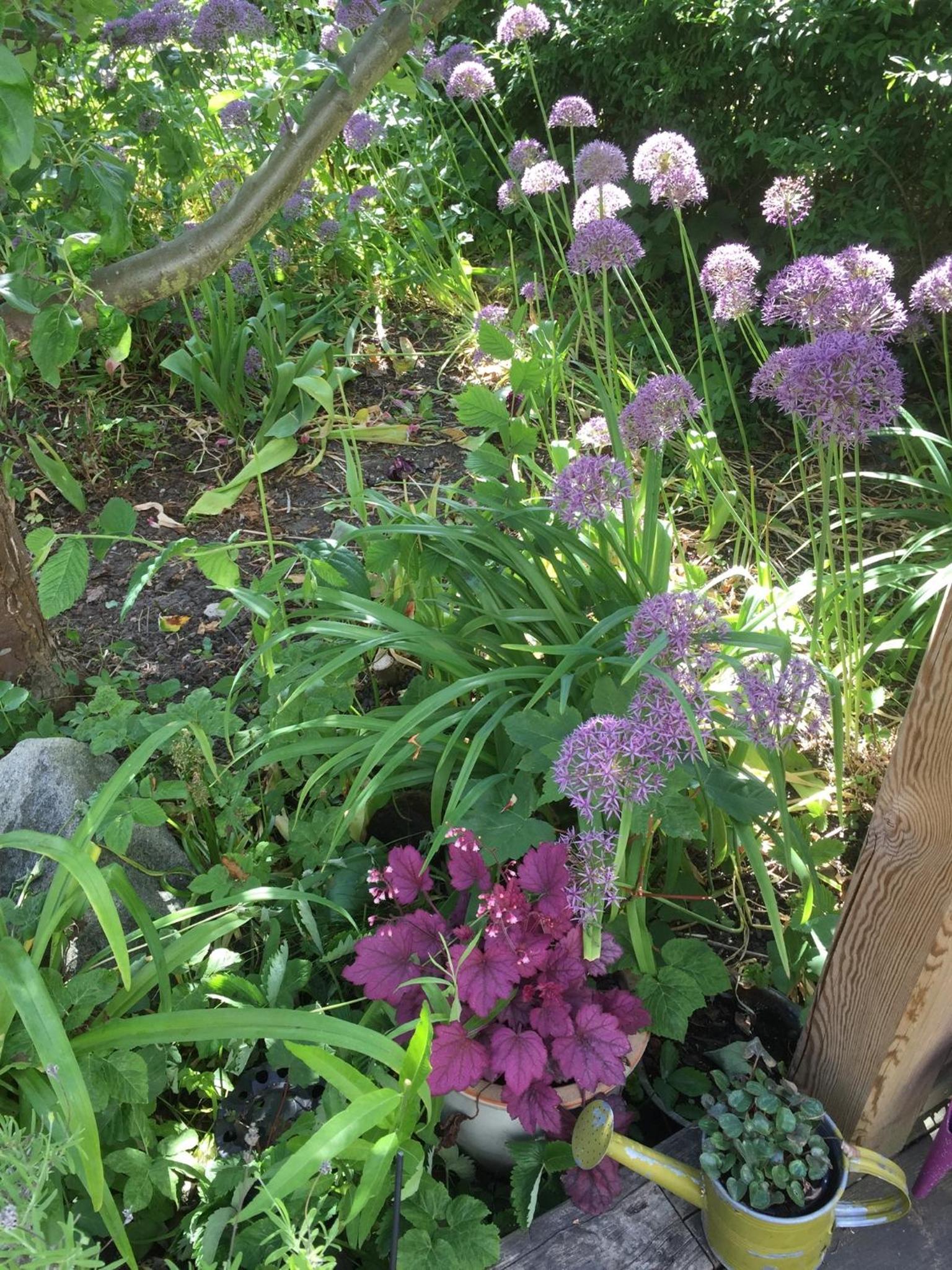 The Garden House view 4