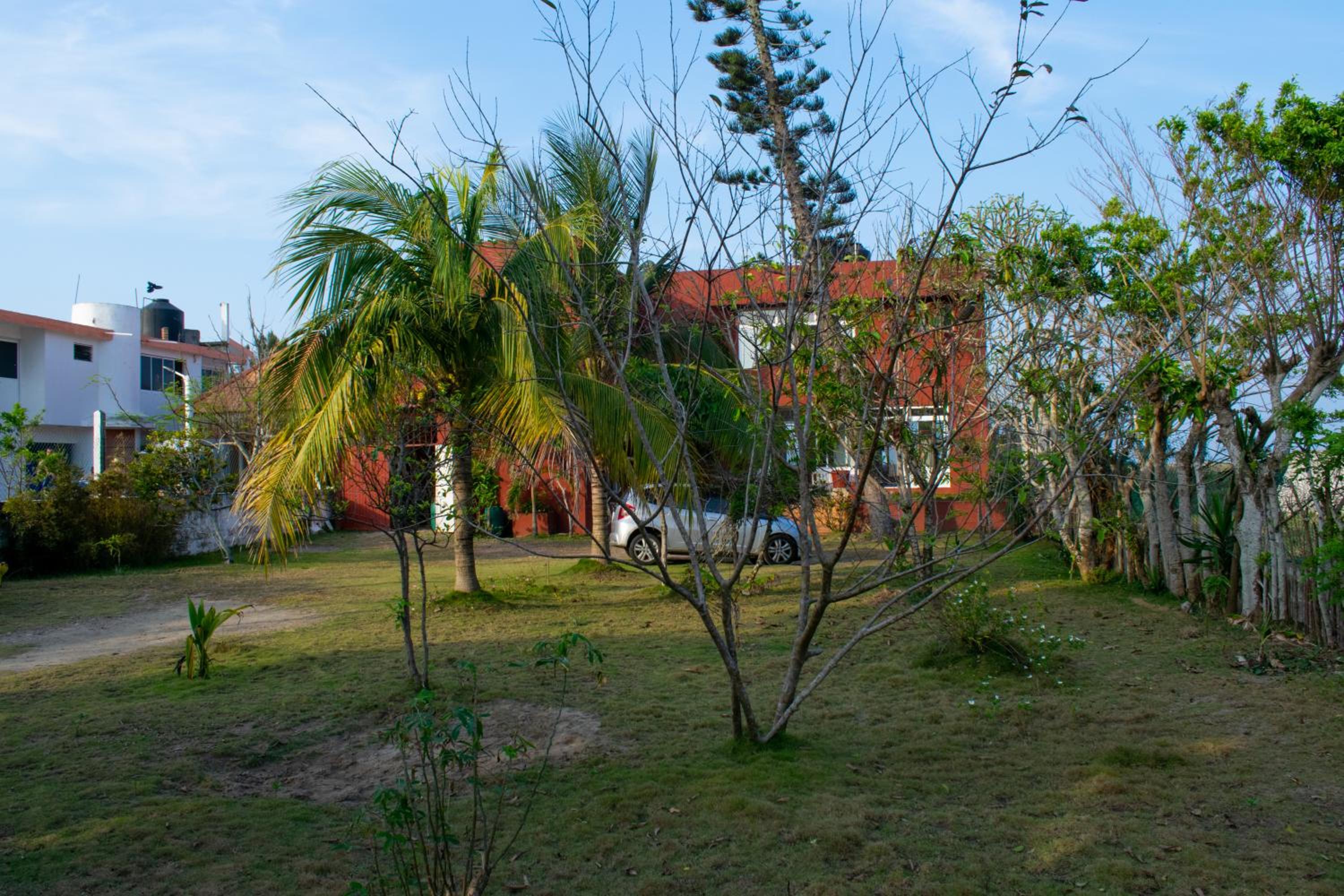 Photo 11