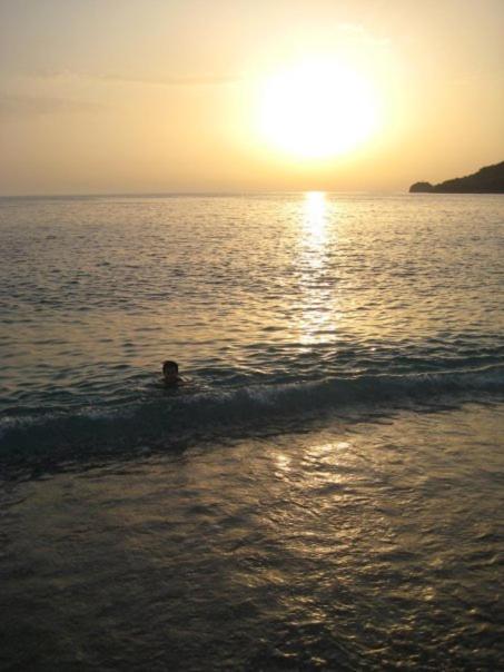 Magic Ionian Apartments & Rooms