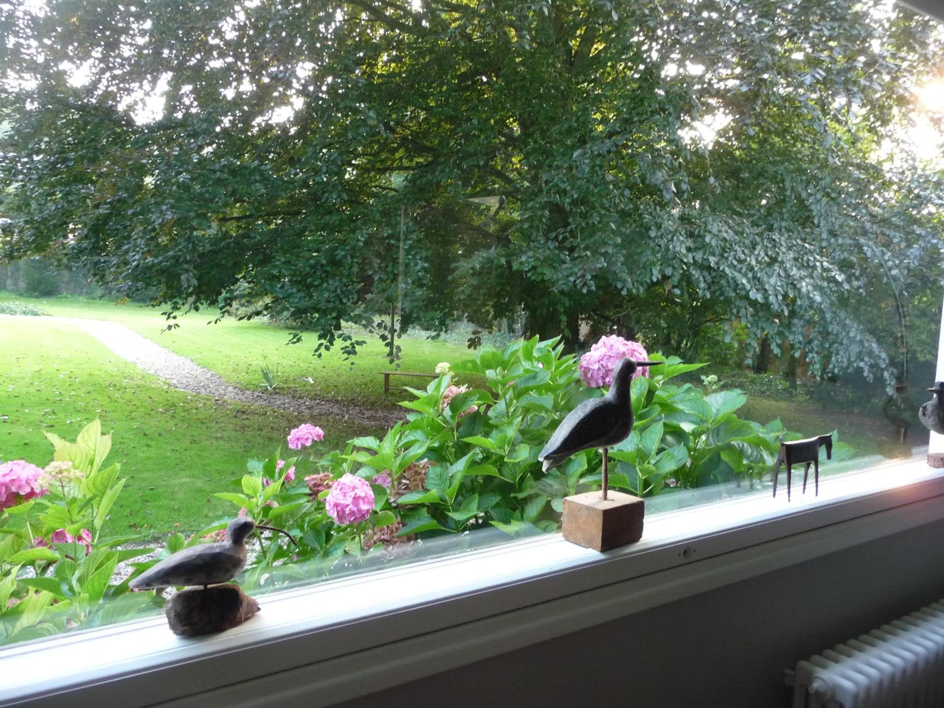 Photo 48