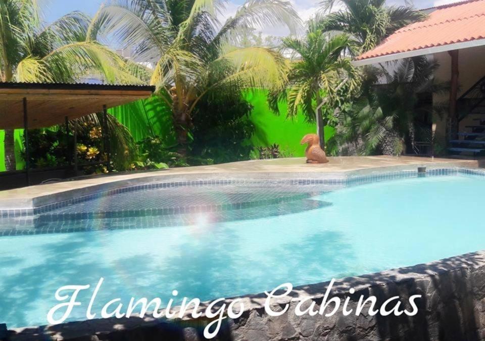 Beautiful Second Story Apartment 202 Next to Playa Flamingo