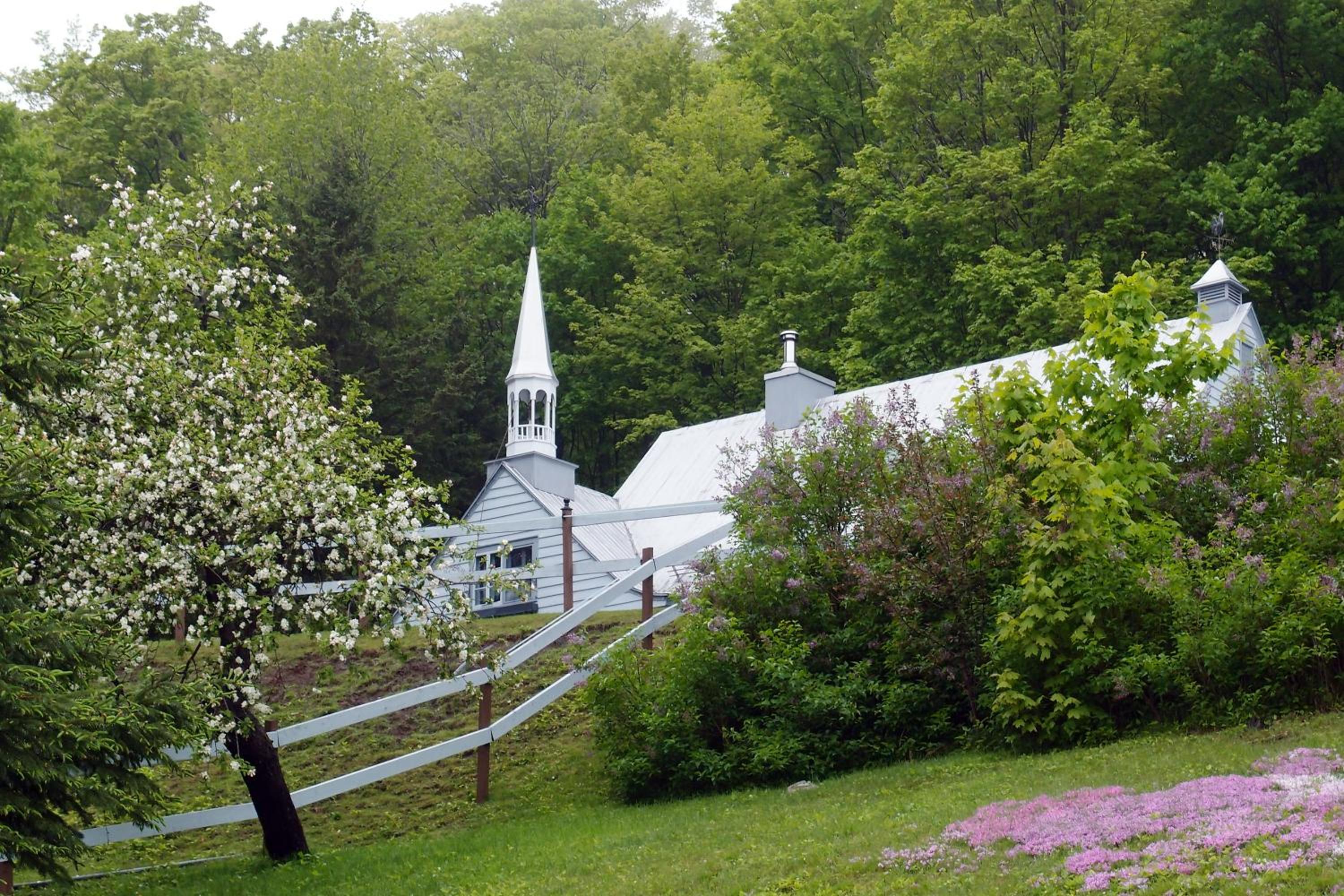 Le Petit Clocher Gite Touristique B & B