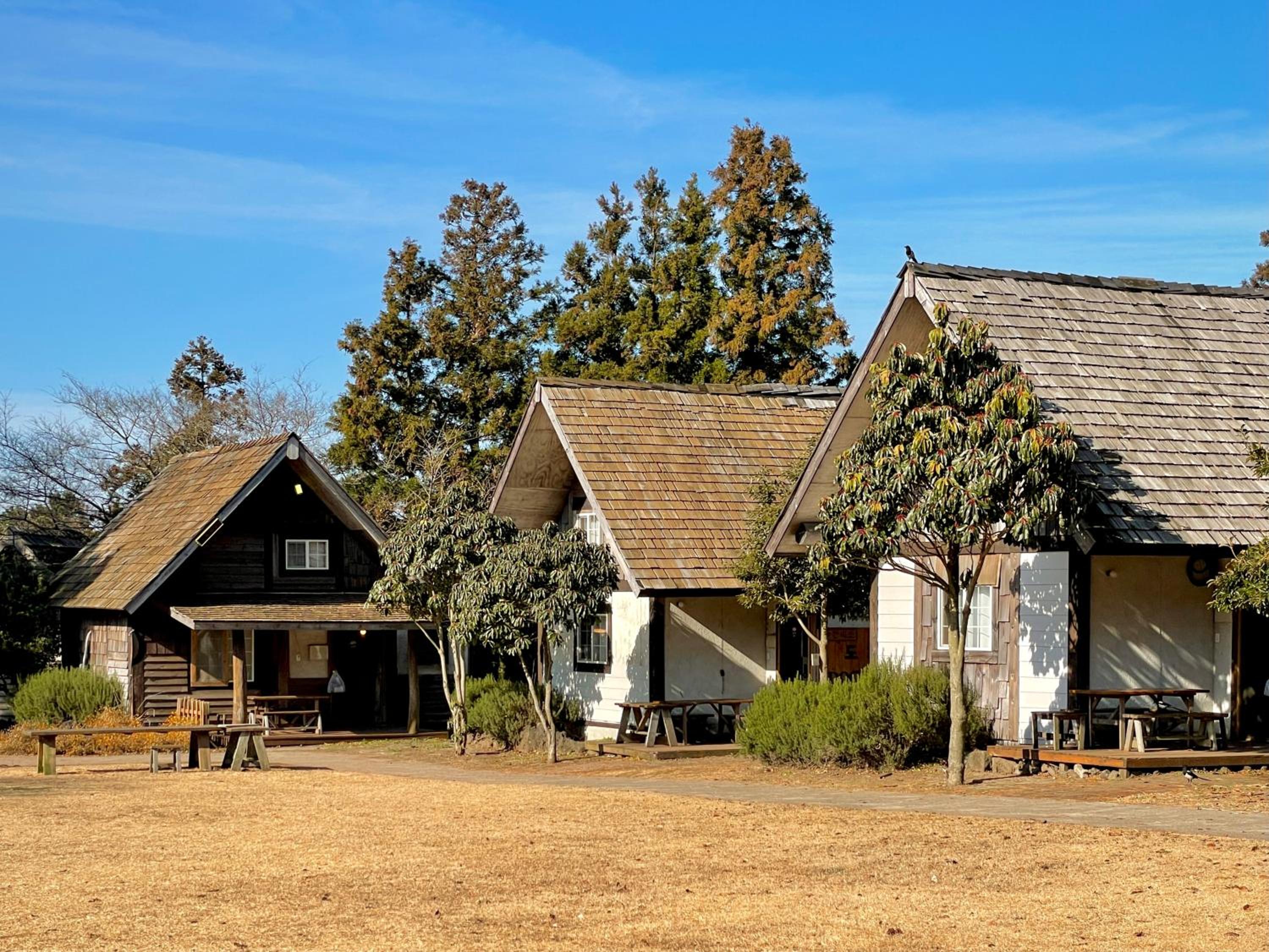 Log Park Dochidol Ranch