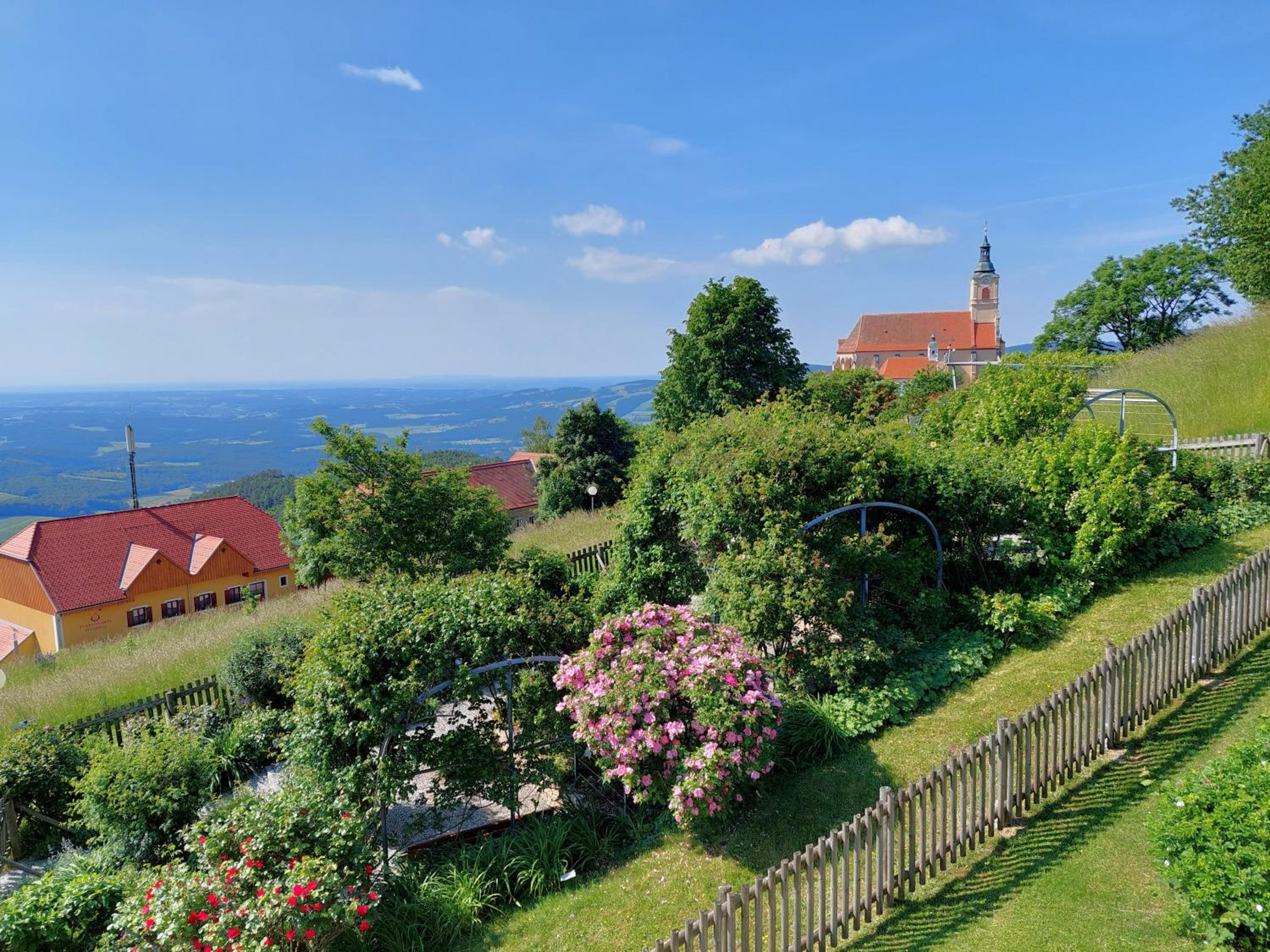 Ferienwohnung in ruhiger Lage- Panorama Terrasse, 2 SZ, rollstuhlfreundlich view 5