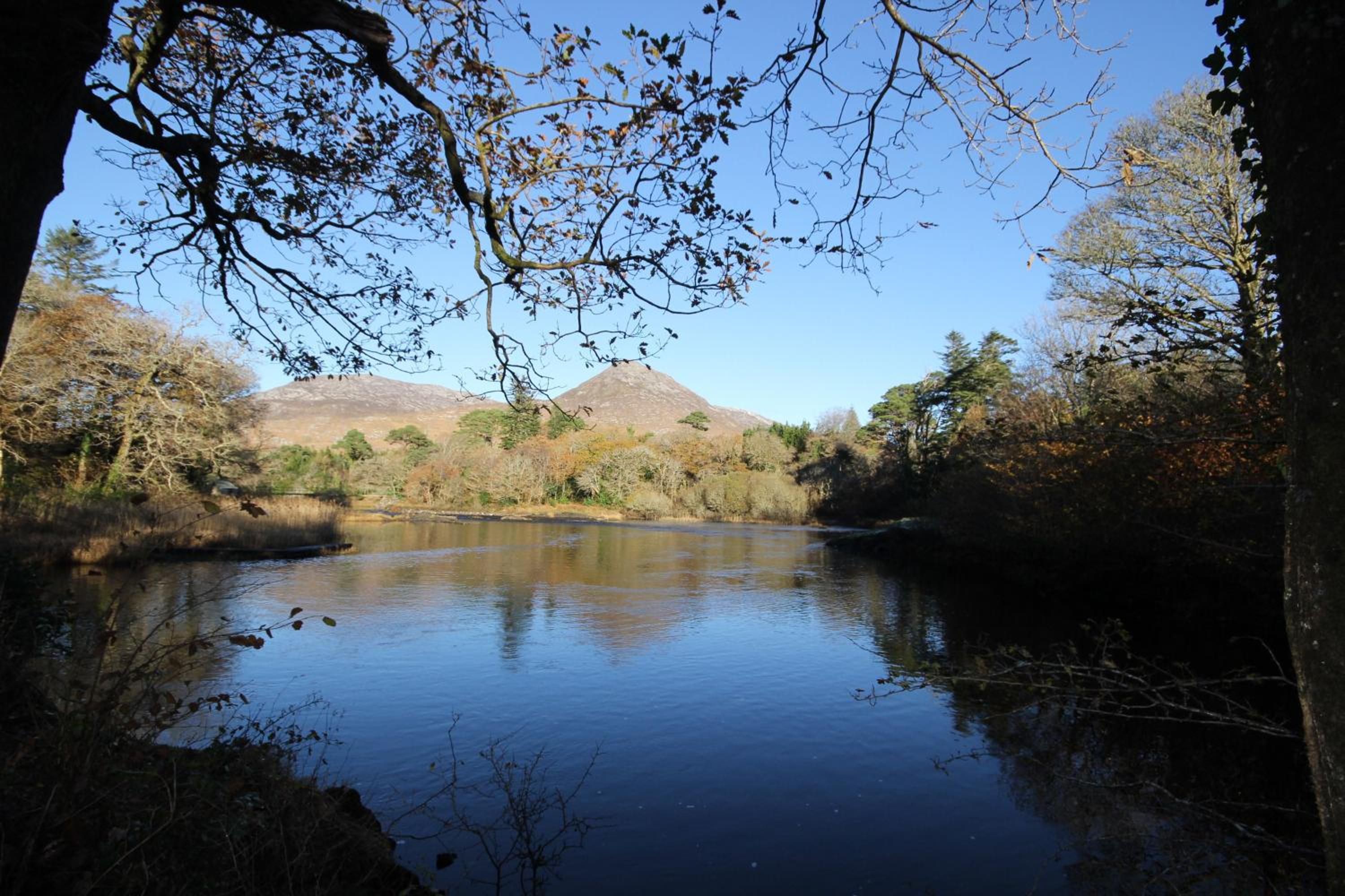 Photo 41
