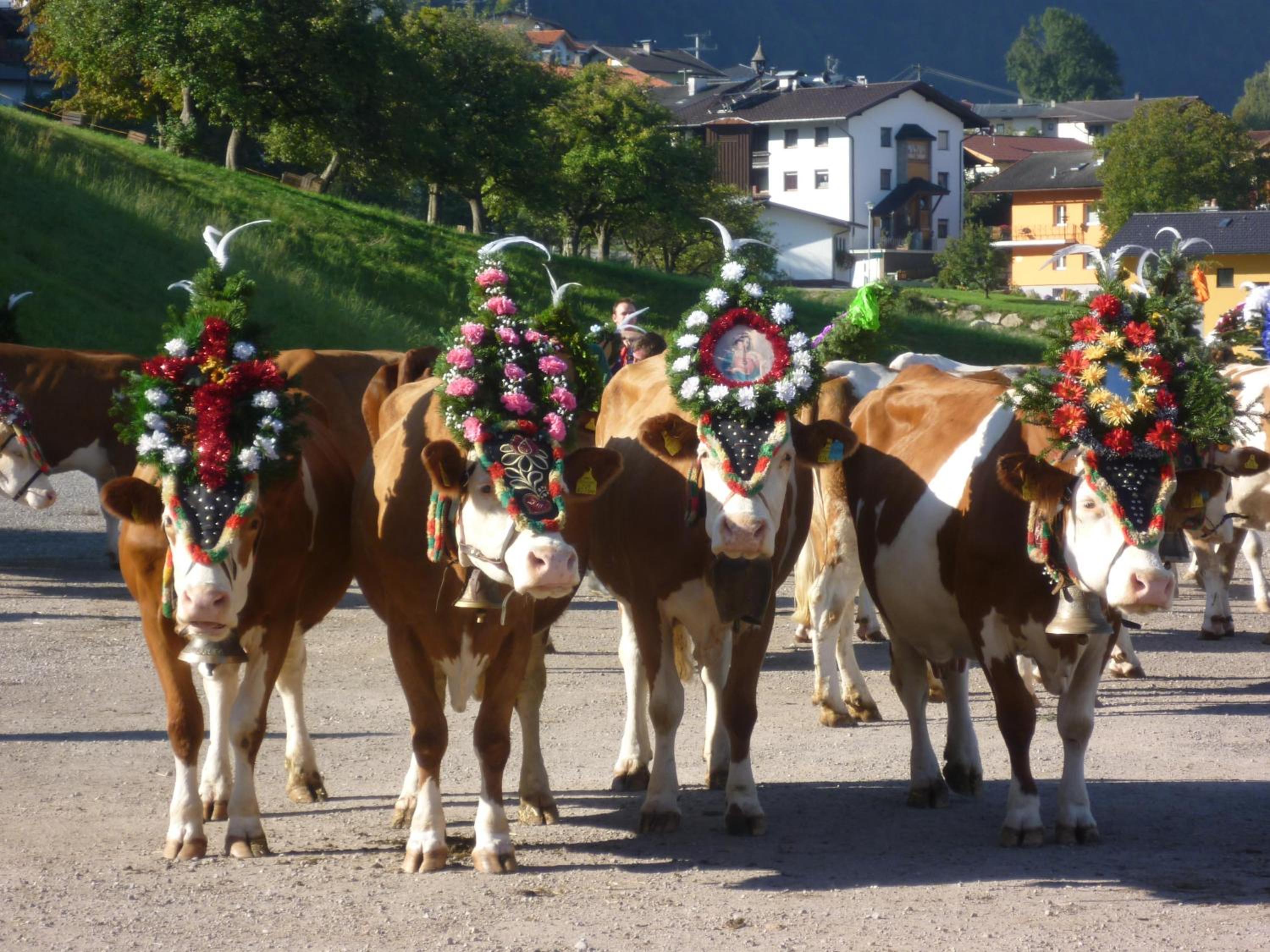 Gruberhof