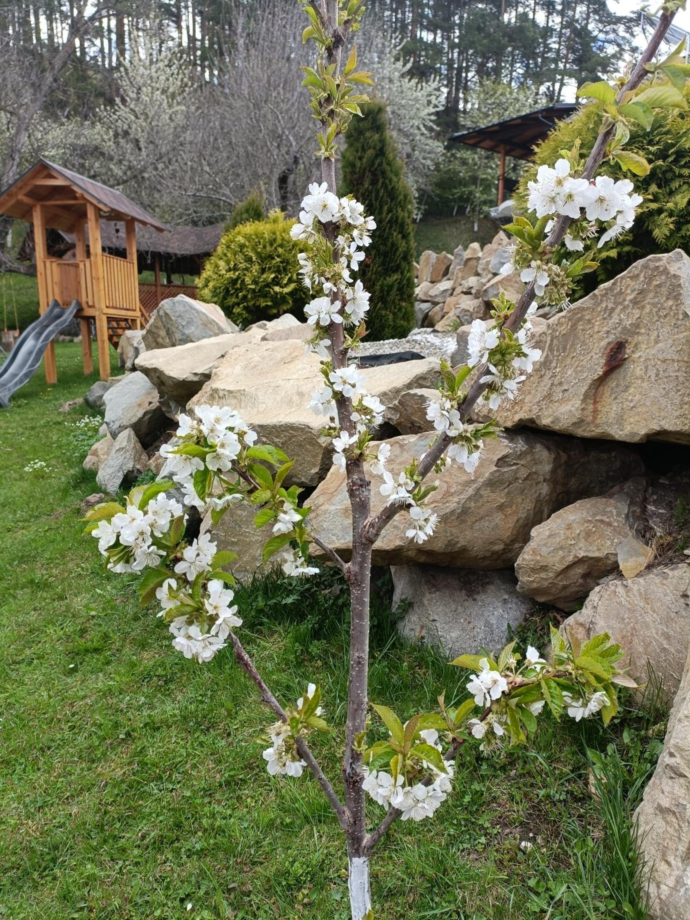 Photo 47