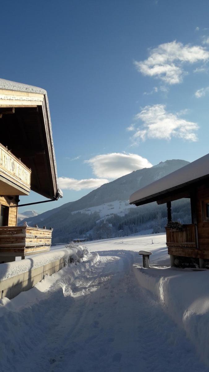 Schorpenhof