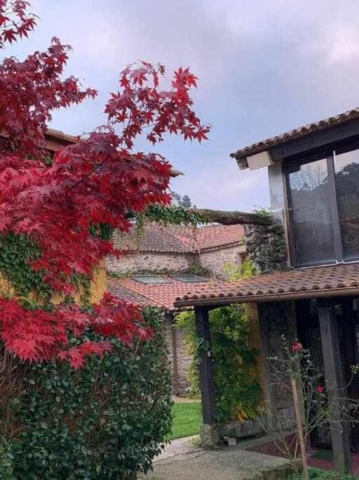 Hotel rural casal de mouros