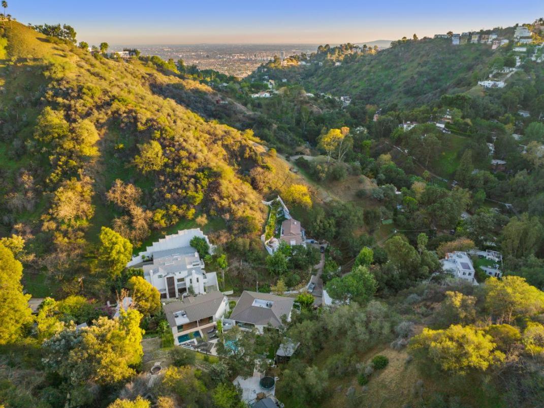 Willow Glen