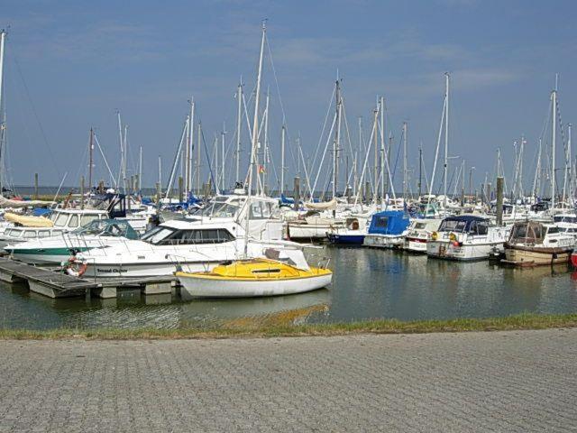 Nordsee-Ferienanlage-Wohnung-Langeoog
