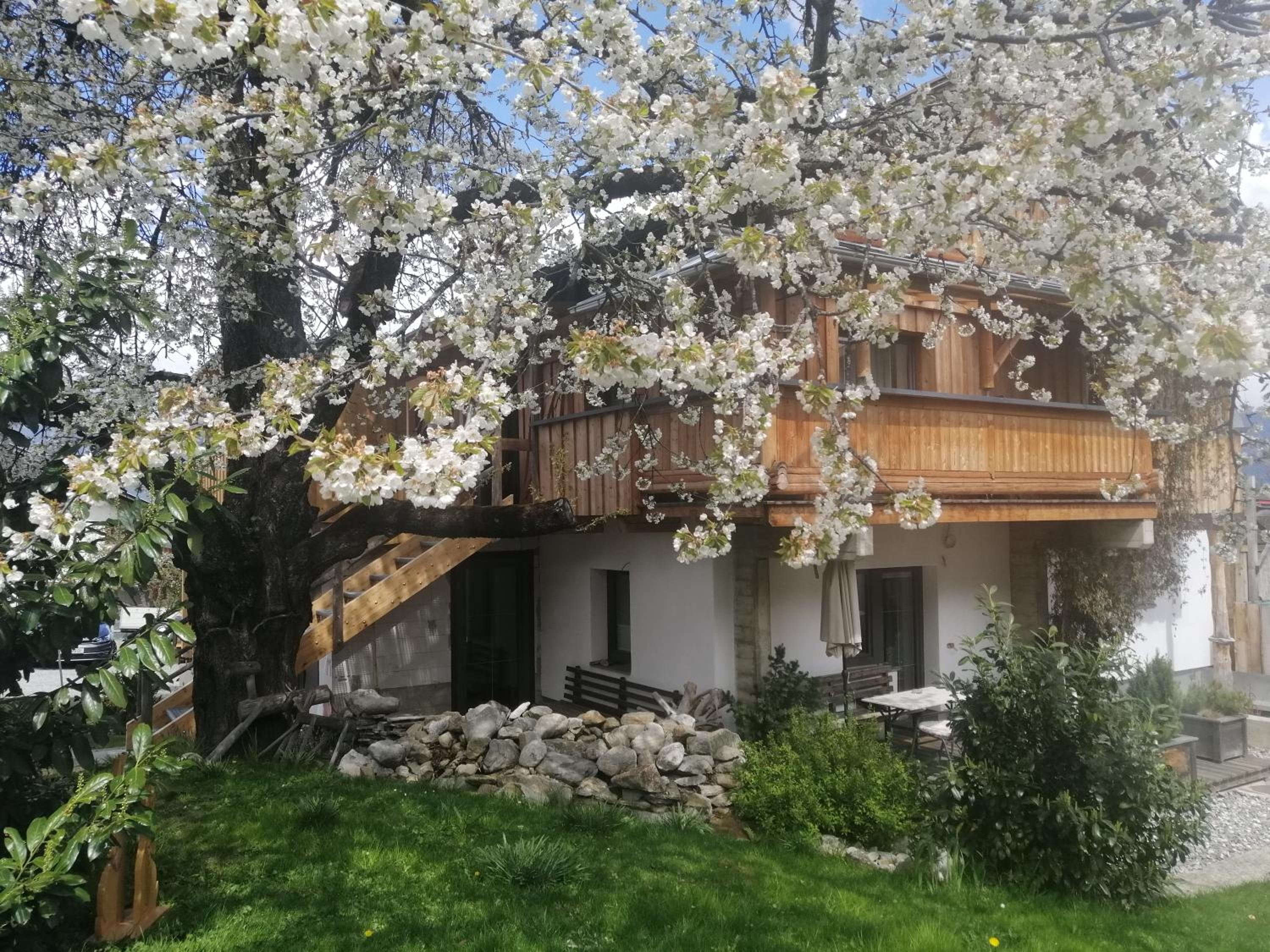 Appartement Seppi view 2
