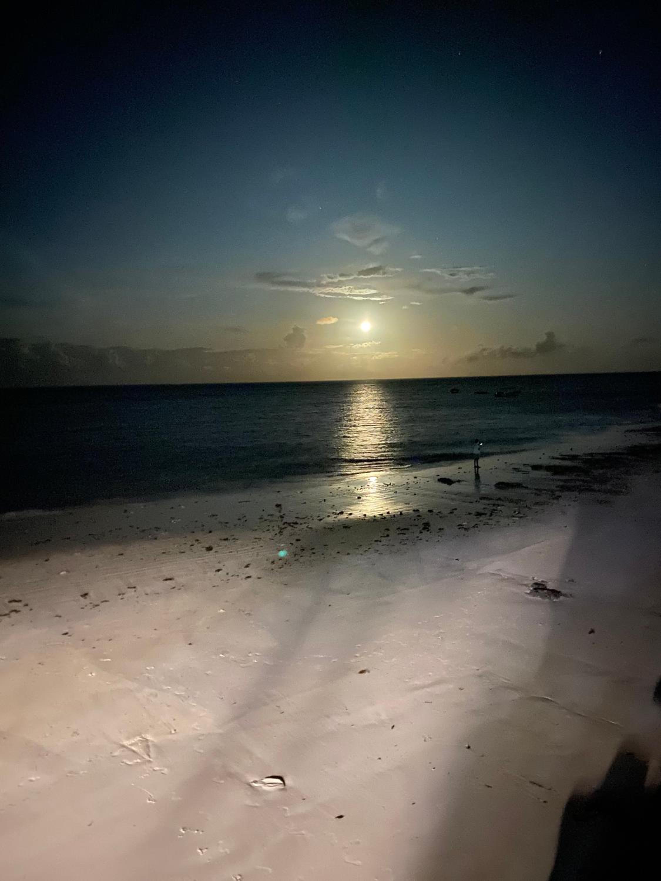 Art Hotel Zanzibar