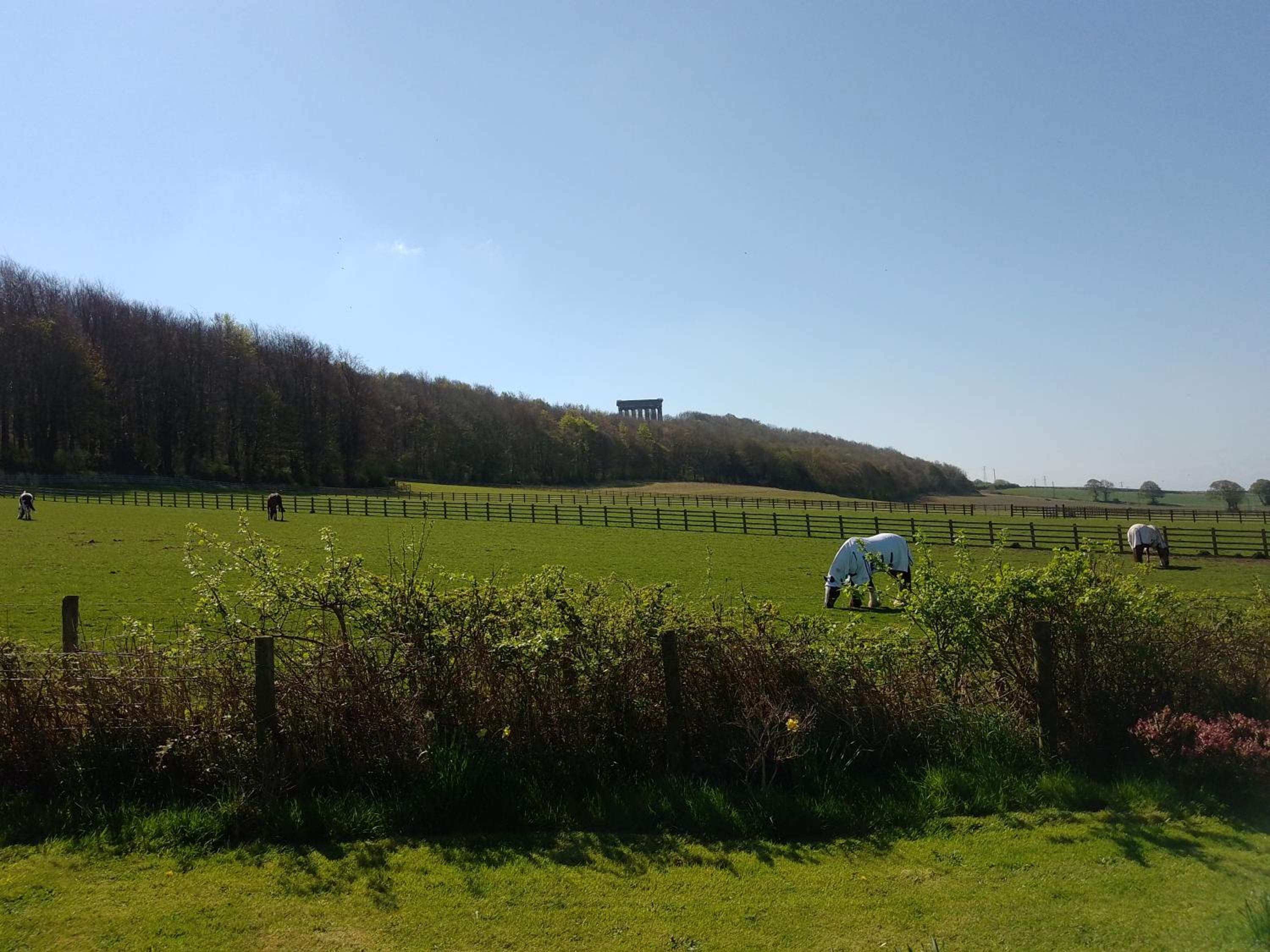Coxgreen Old Schoolhouse view 5