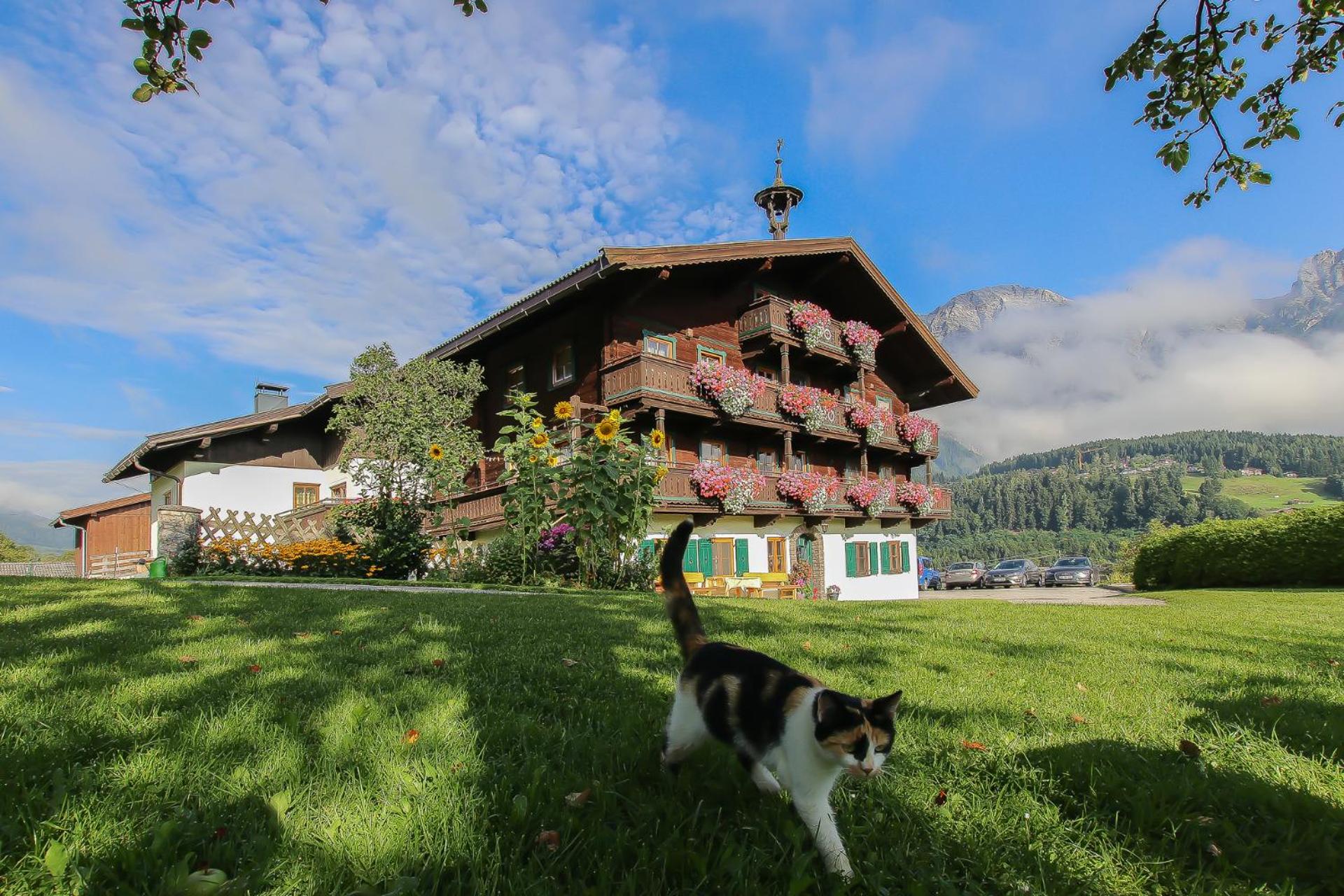 Hainzbauer
