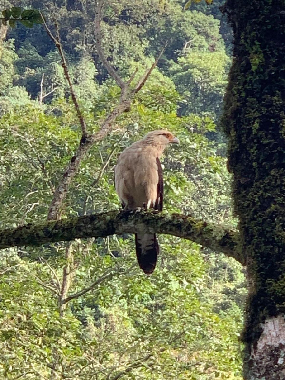 FINCA HOTEL CARMONIA DEL BOSQUE