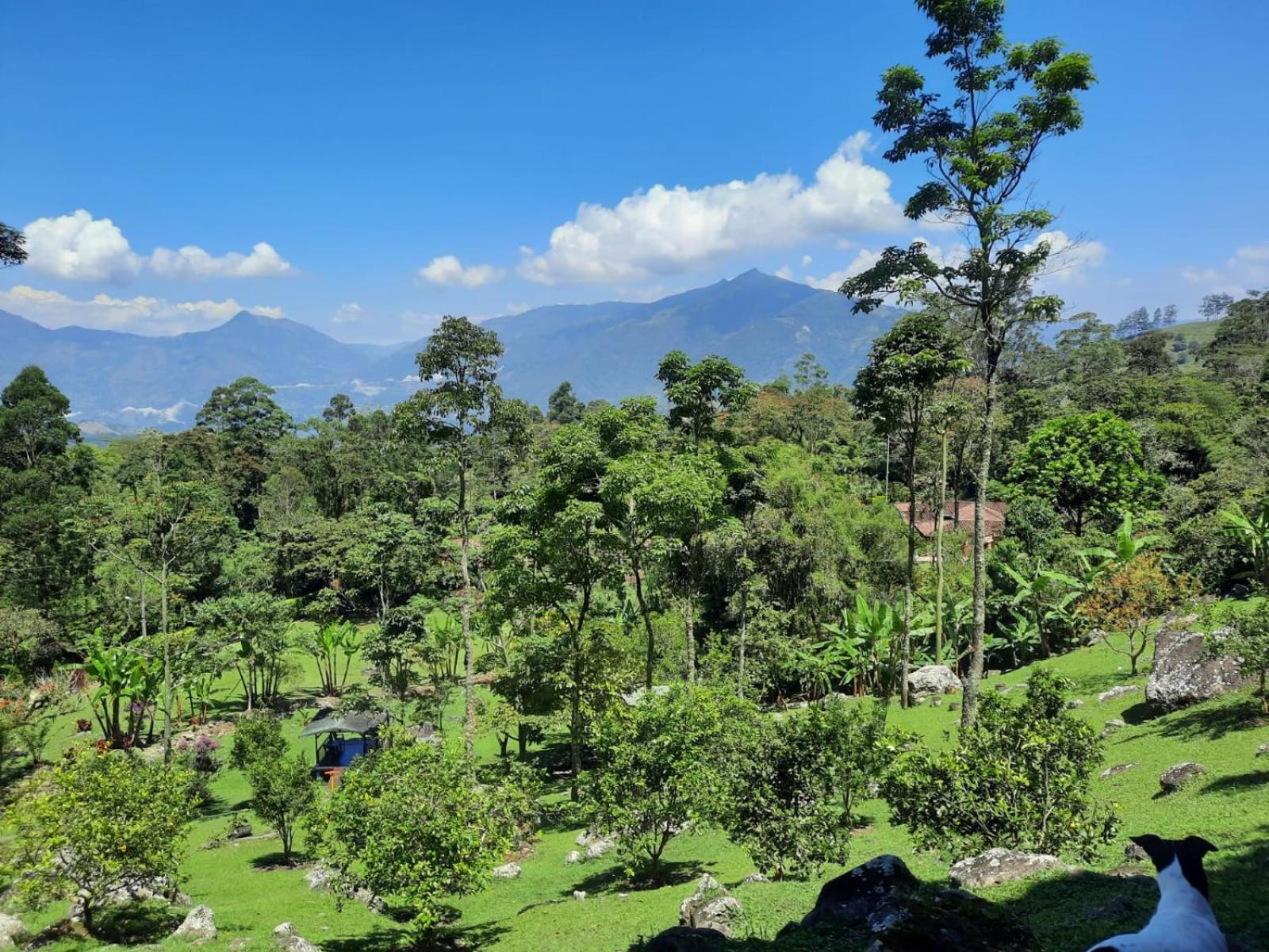 FINCA HOTEL CARMONIA DEL BOSQUE