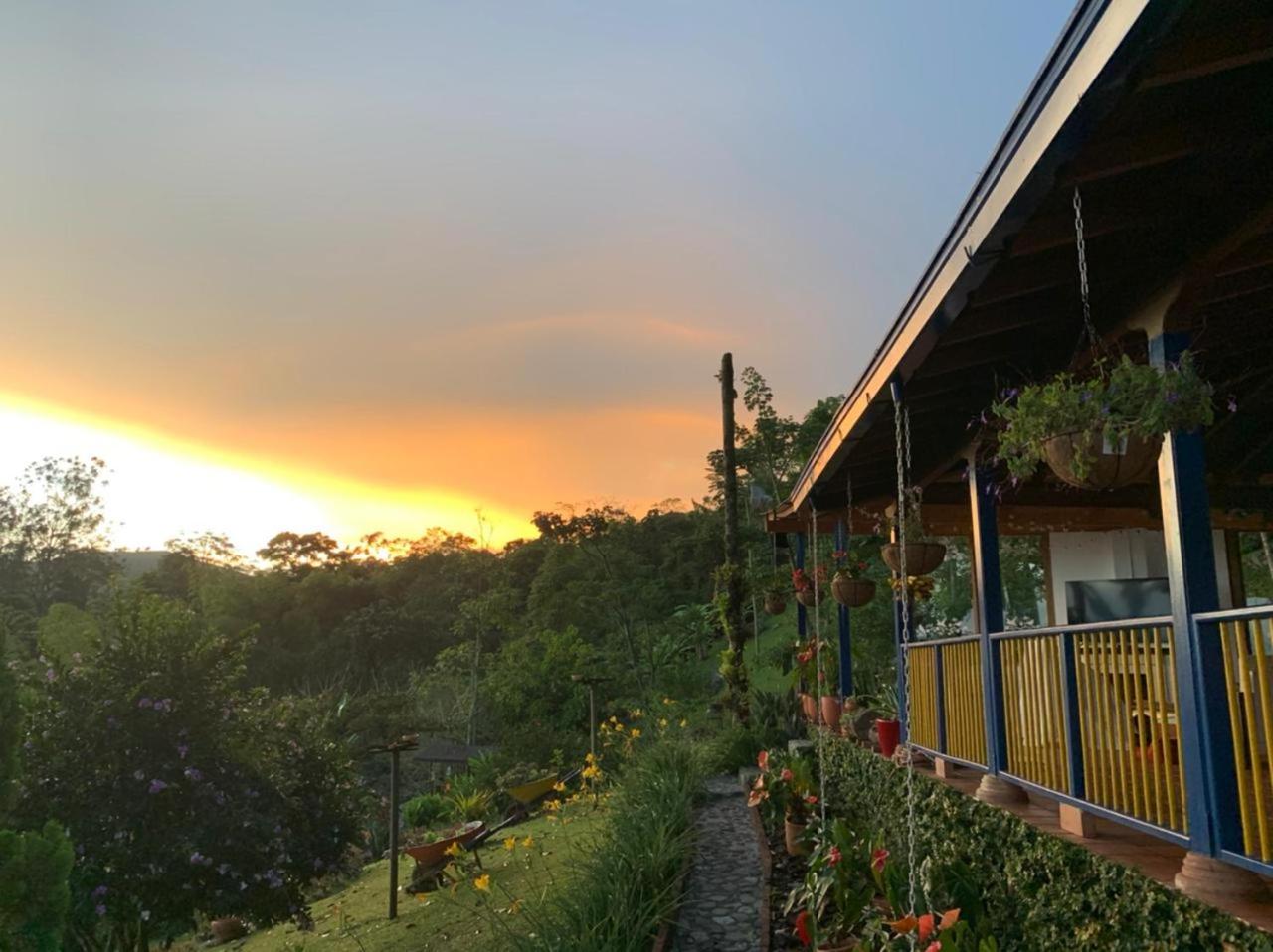 FINCA HOTEL CARMONIA DEL BOSQUE
