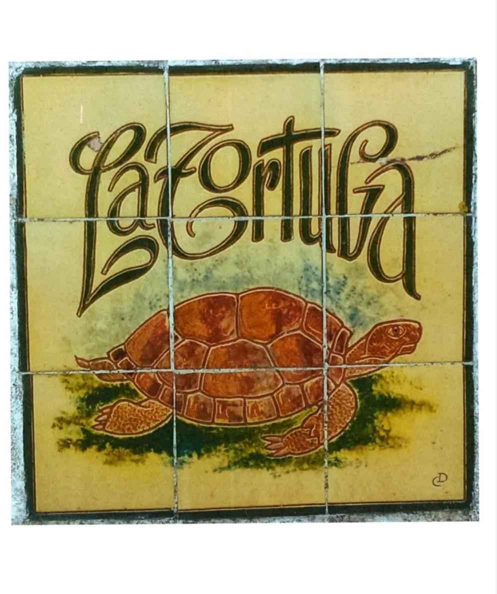 Alojamientos La Tortuga