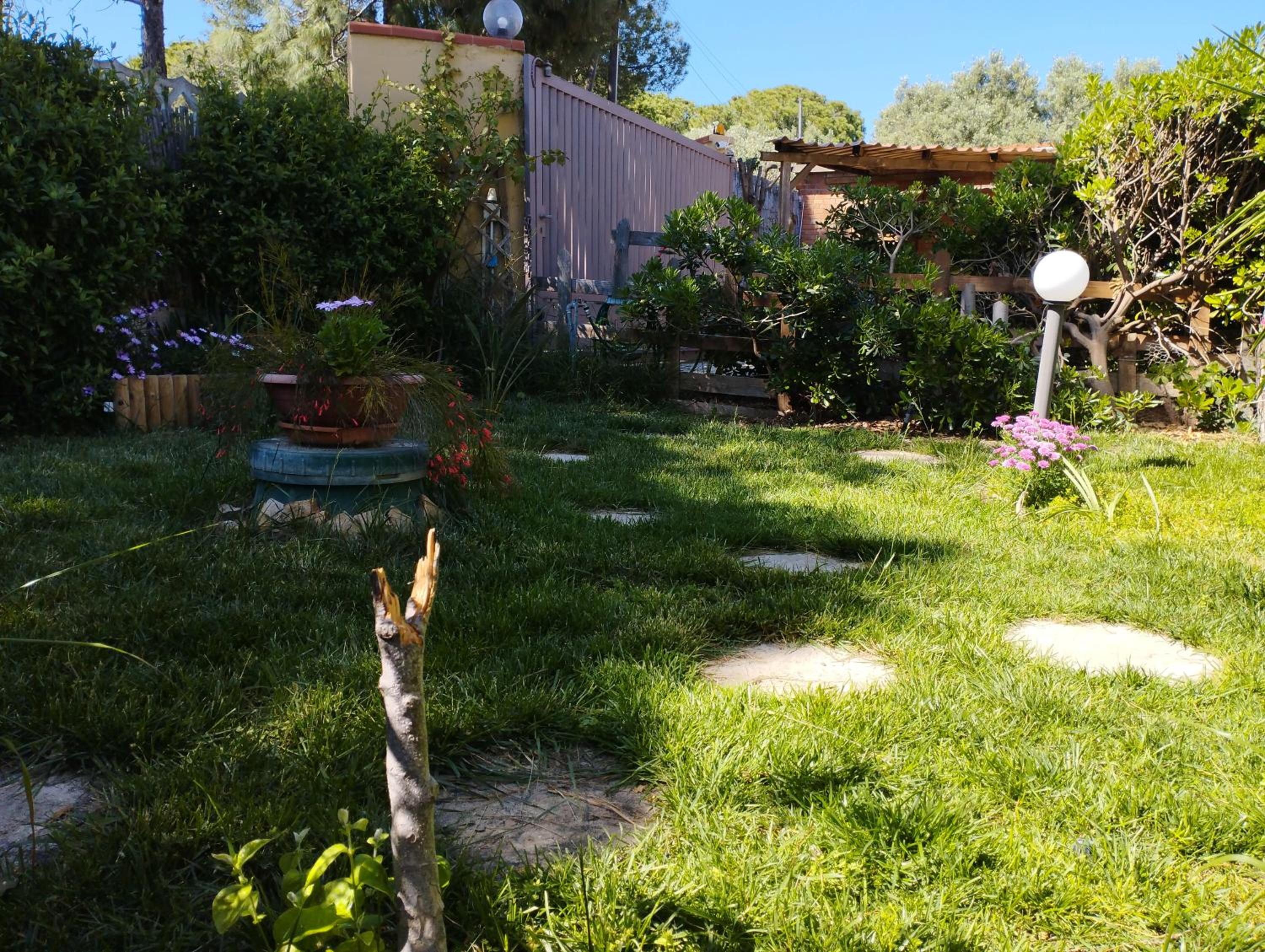 Photo 7