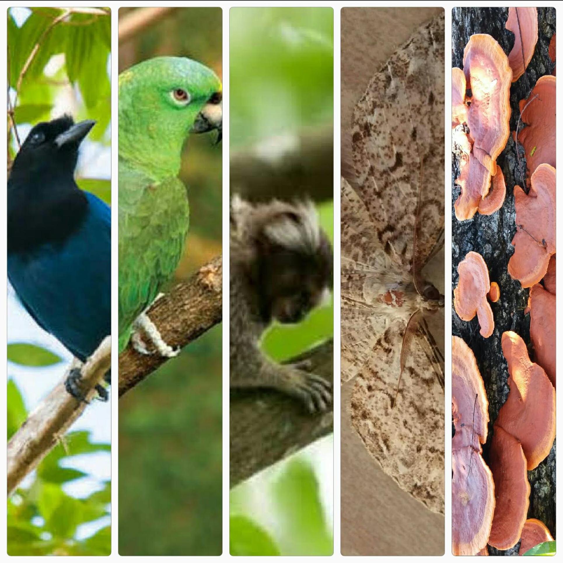 Pousada Hang Jurerê-Floripa Conectada com a Natureza