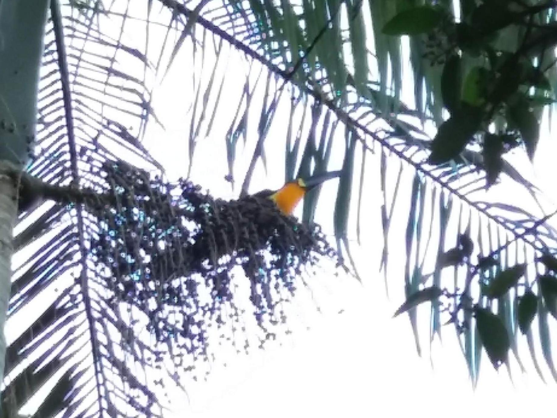 Pousada Hang Jurerê-Floripa Conectada com a Natureza